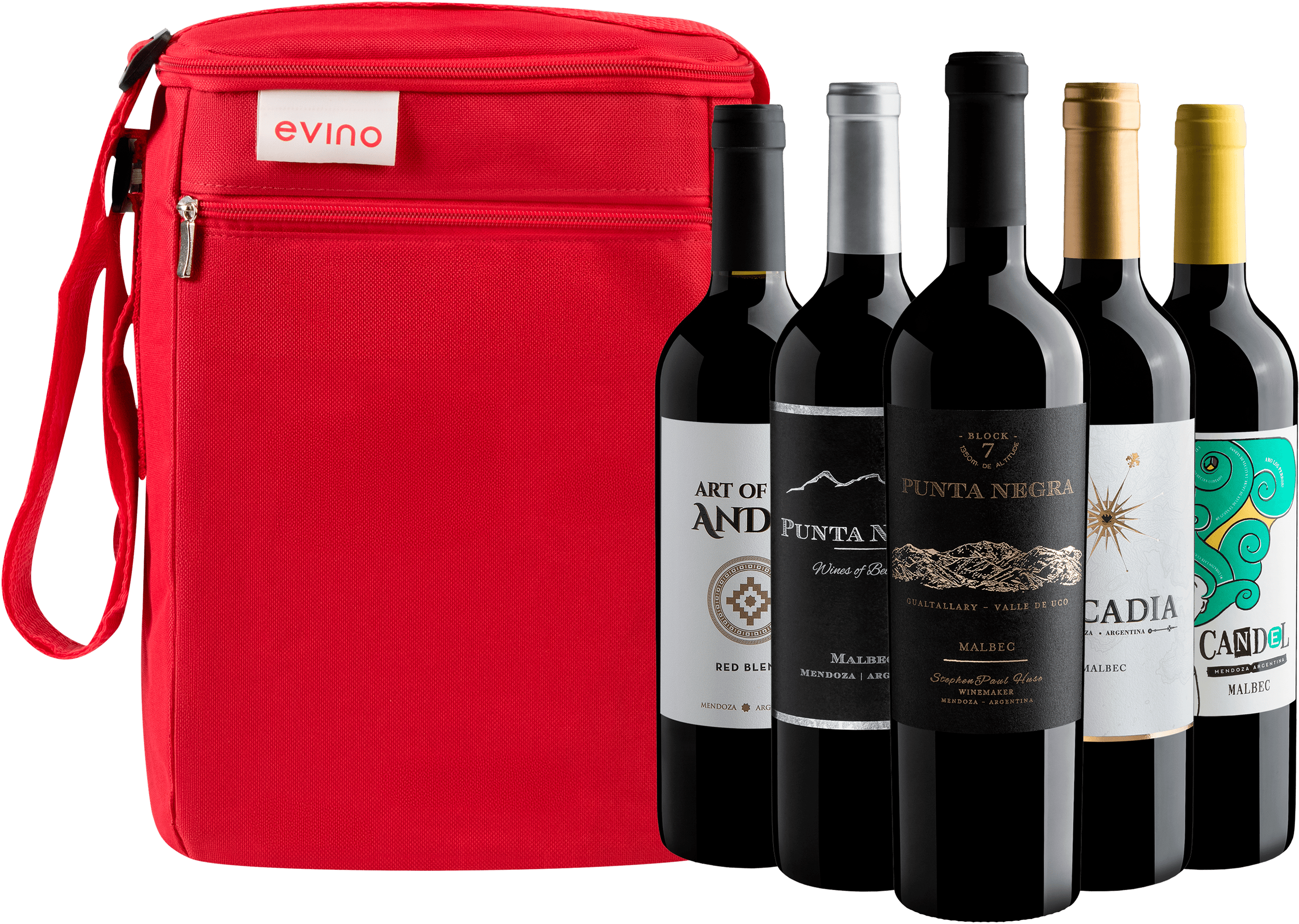 Kit 5 Tintos Argentinos + Bolsa Exclusiva