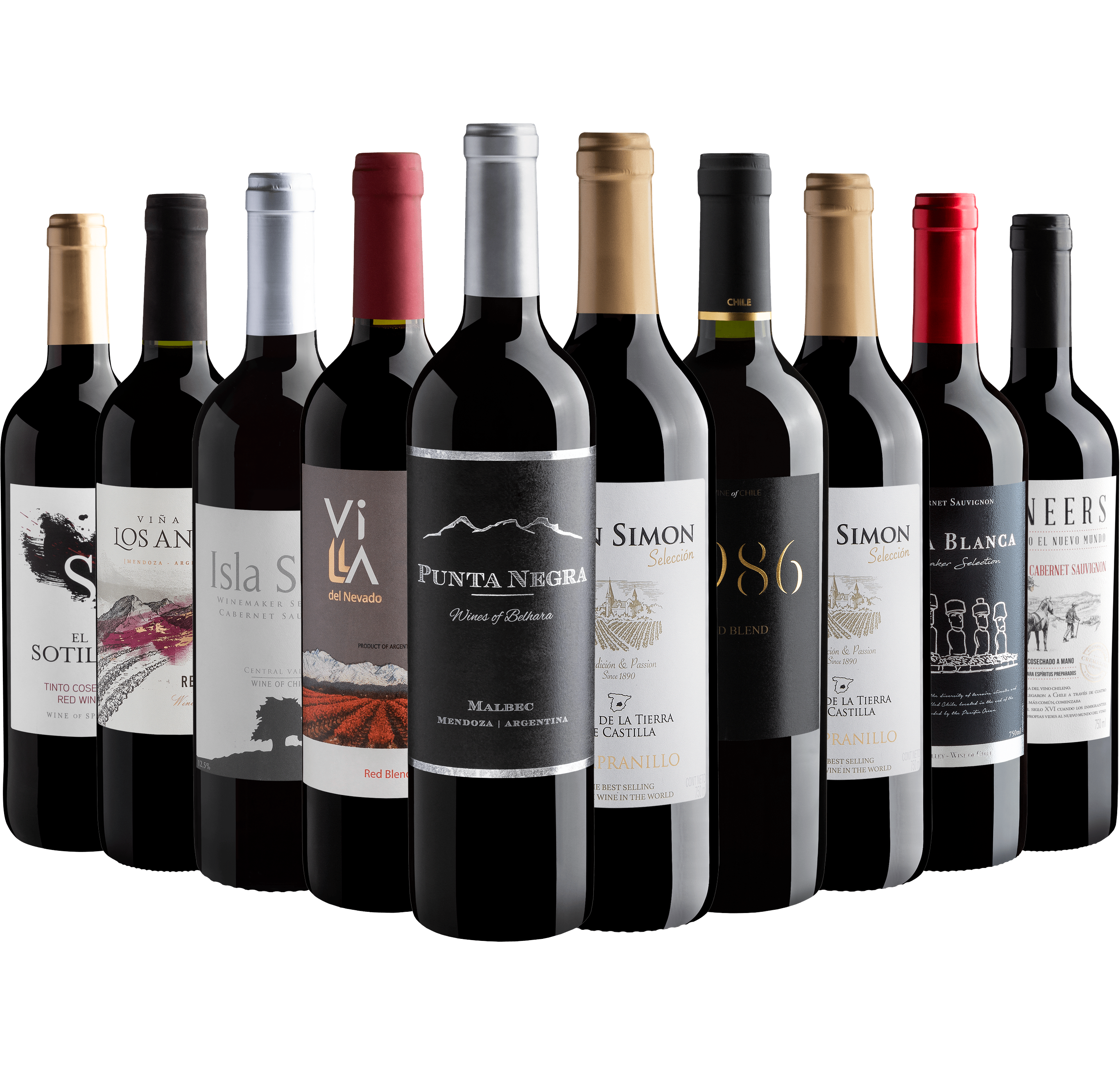 Kit 10 Vinhos Tintos com Punta Negra