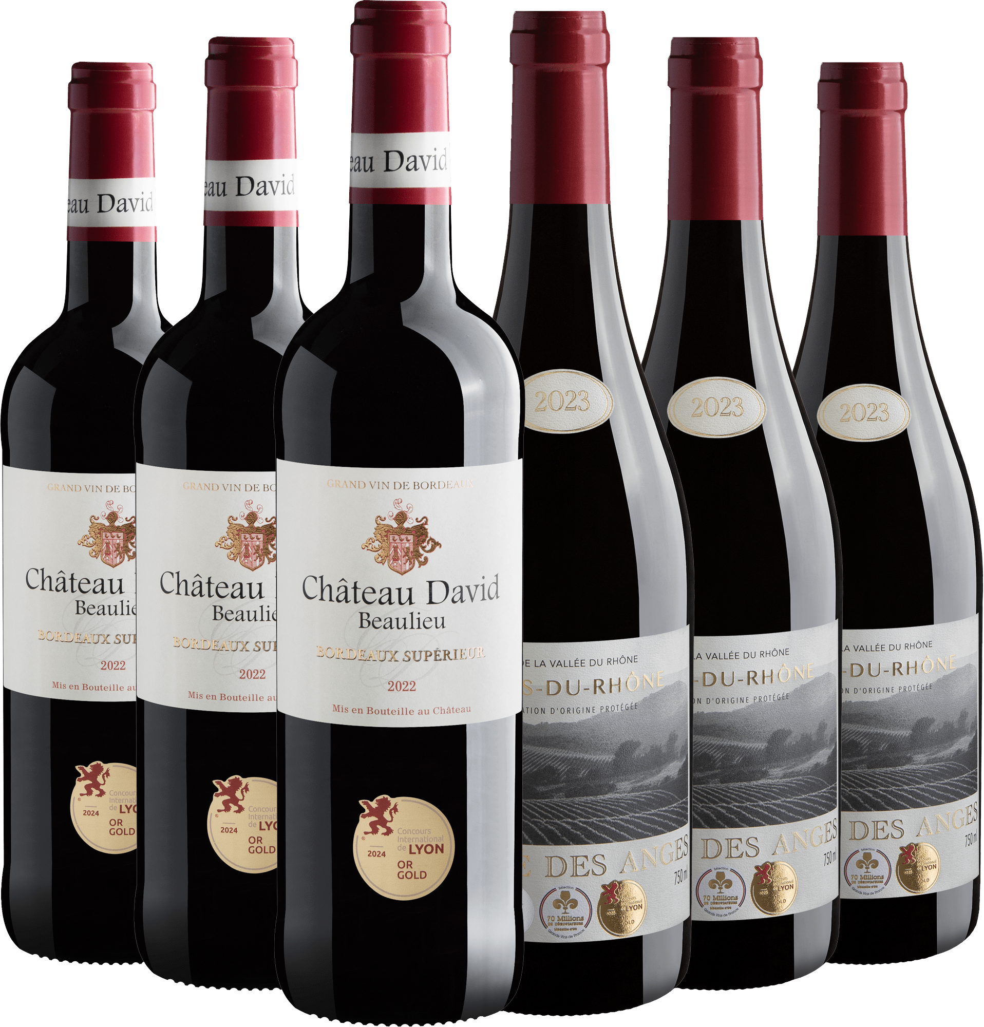 Kit Franceses Medalha de Ouro | 6 garrafas