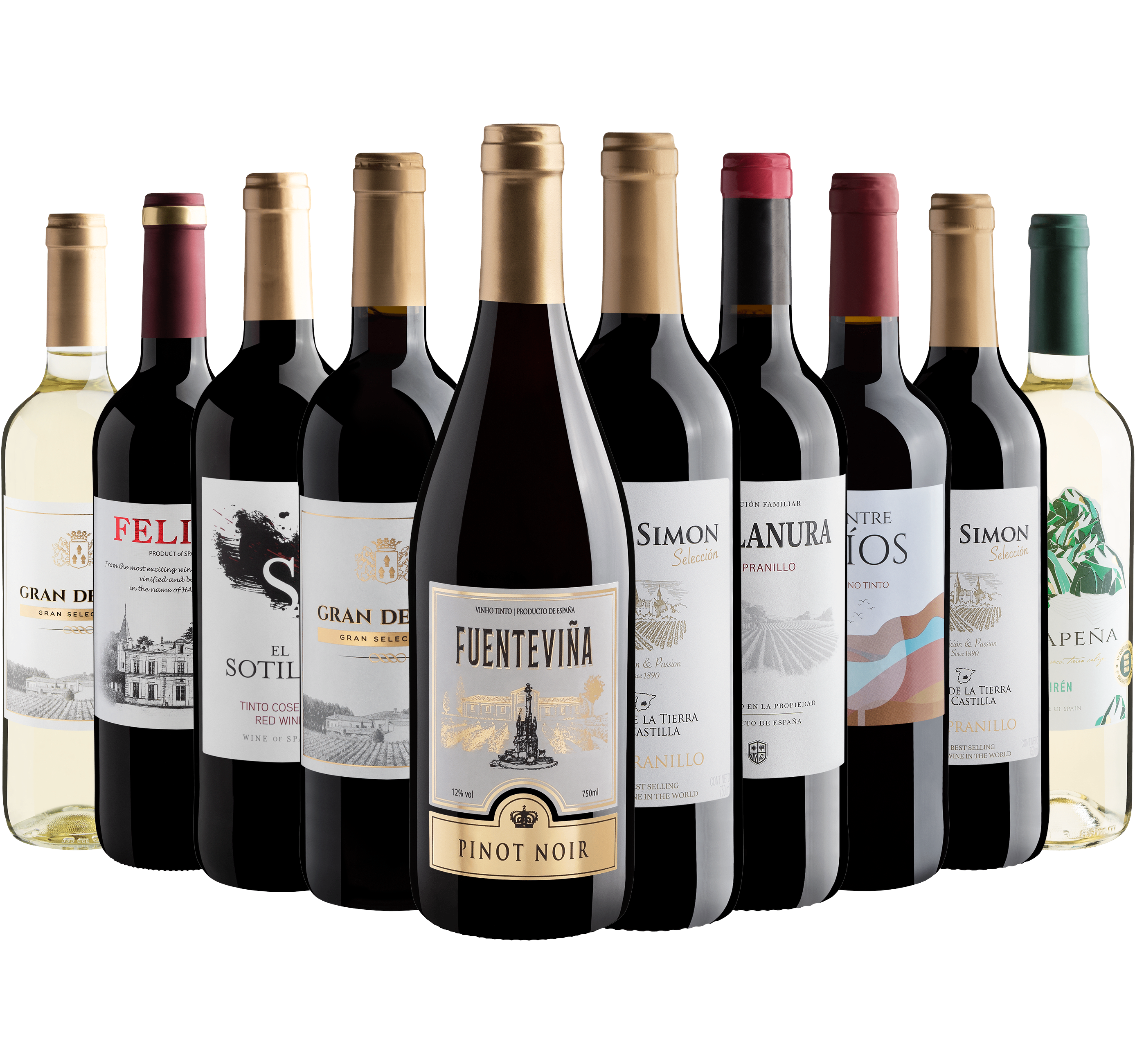 Kit 10 Vinhos Espanhóis*