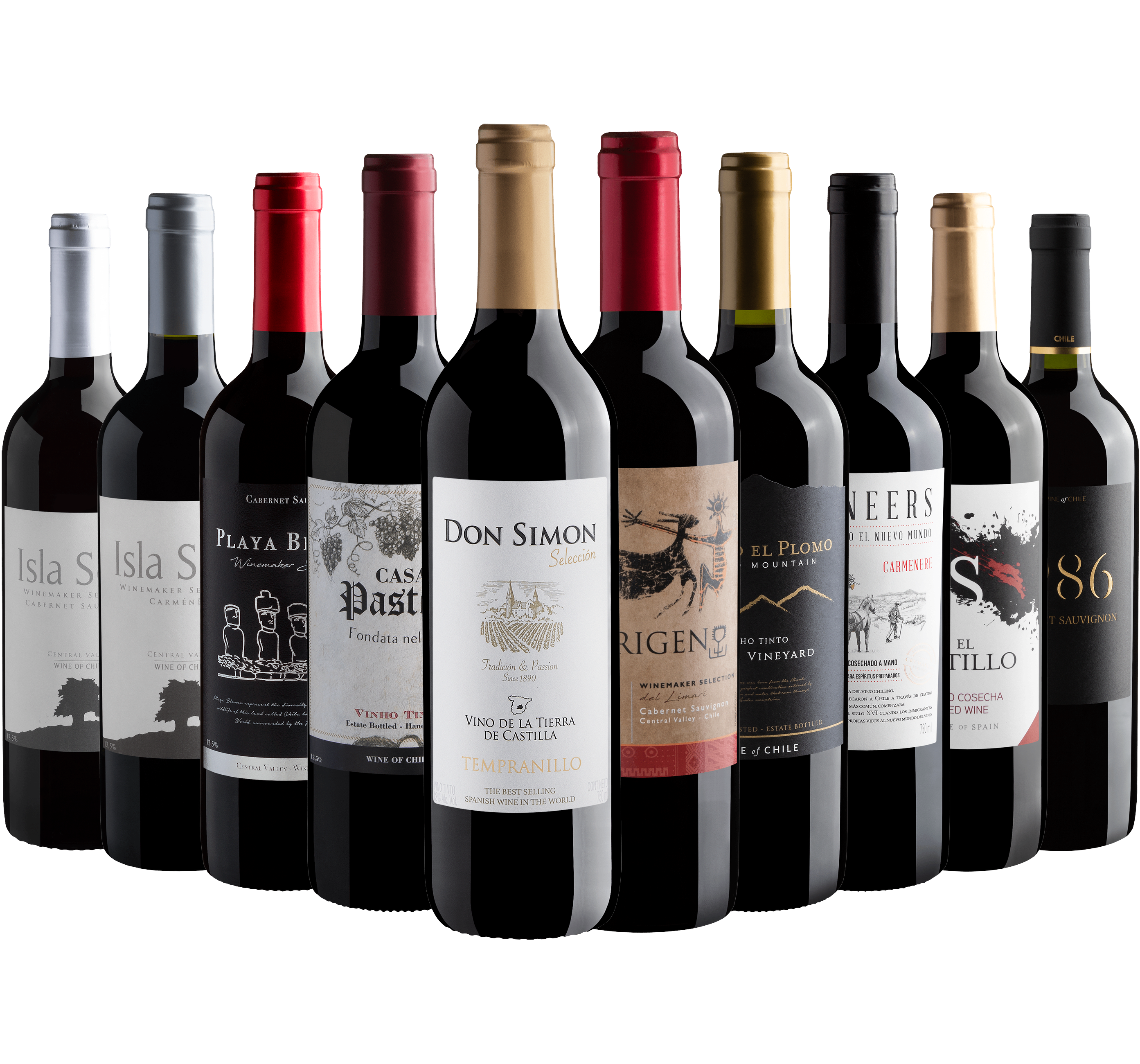 Kit 10 Vinhos Tintos*