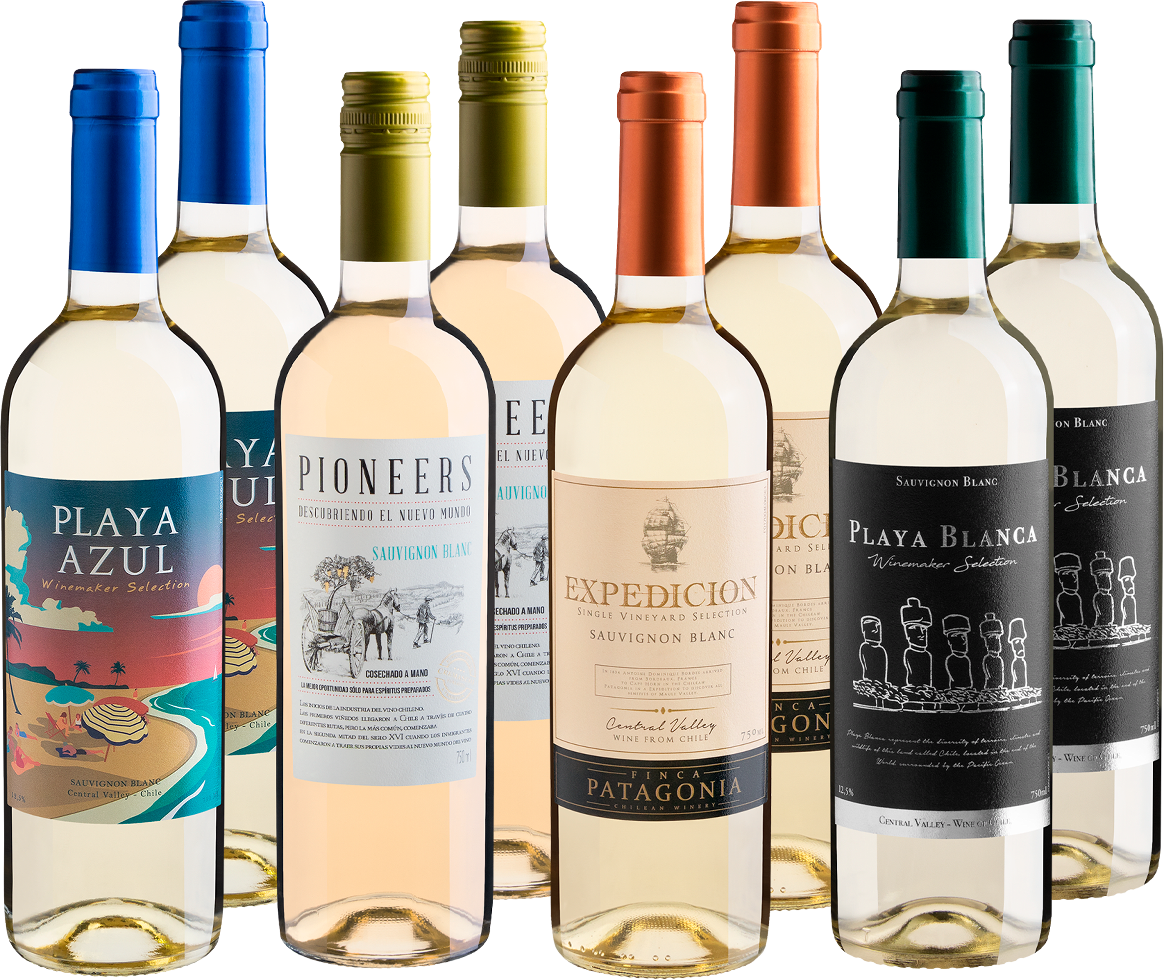 Kit Sauvignons Blancs em Dobro | 8 garrafas