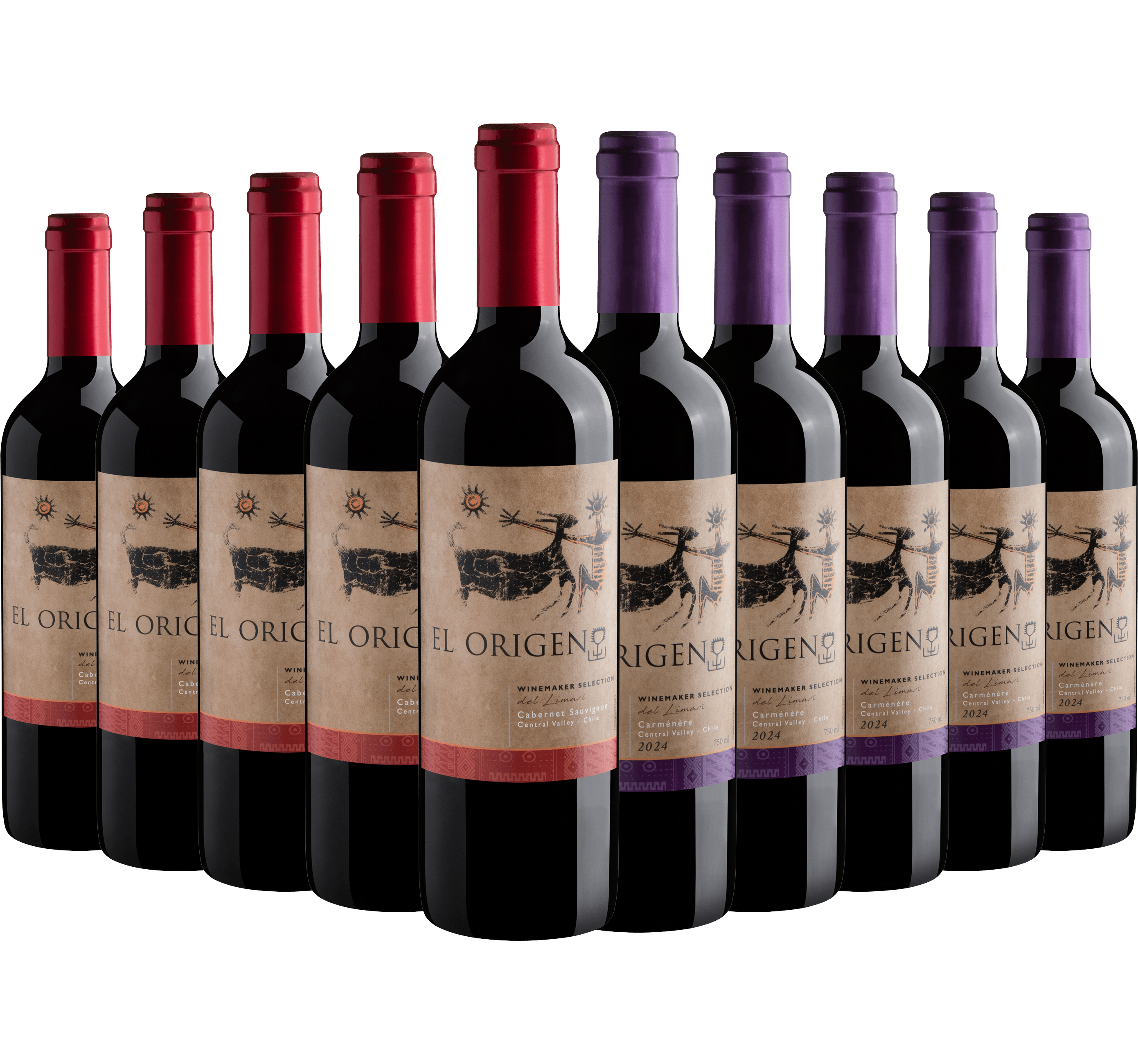Kit El Origen Winemaker | 5 Cabernet Sauvignon + 5 Carménère*