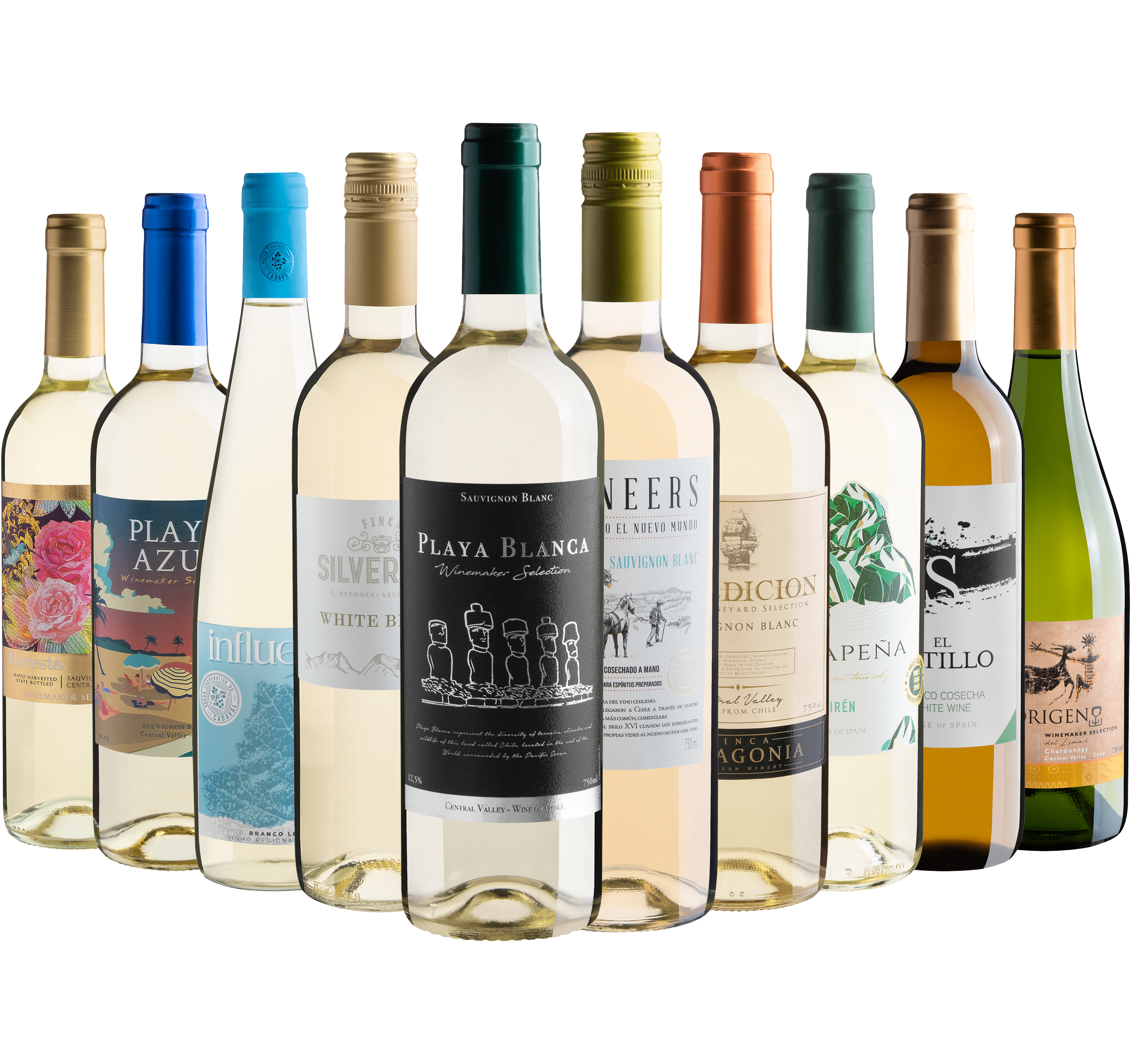 Kit 10 Vinhos Brancos*