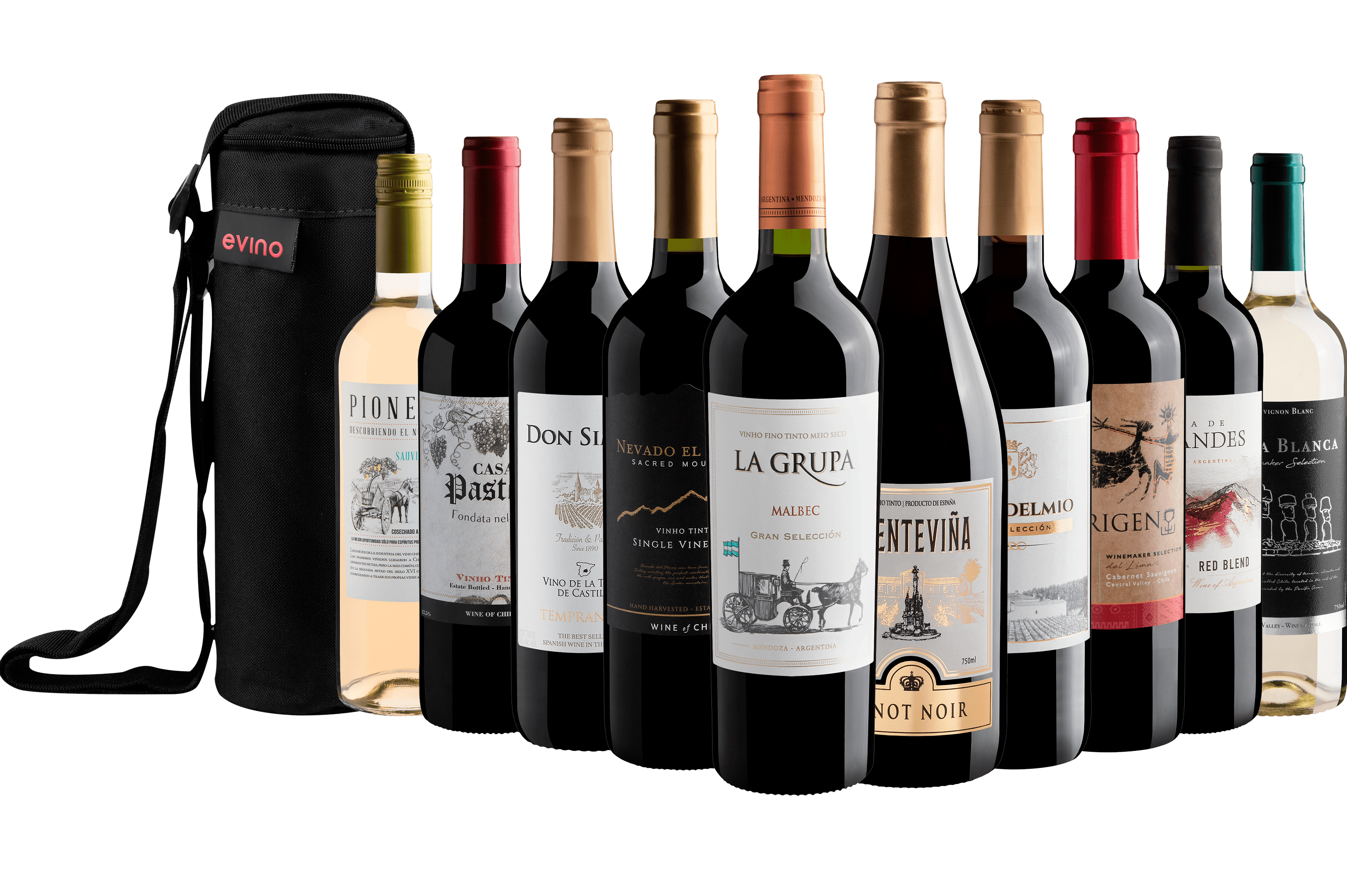 Kit 10 Vinhos + Bolsa Exclusiva Grátis
