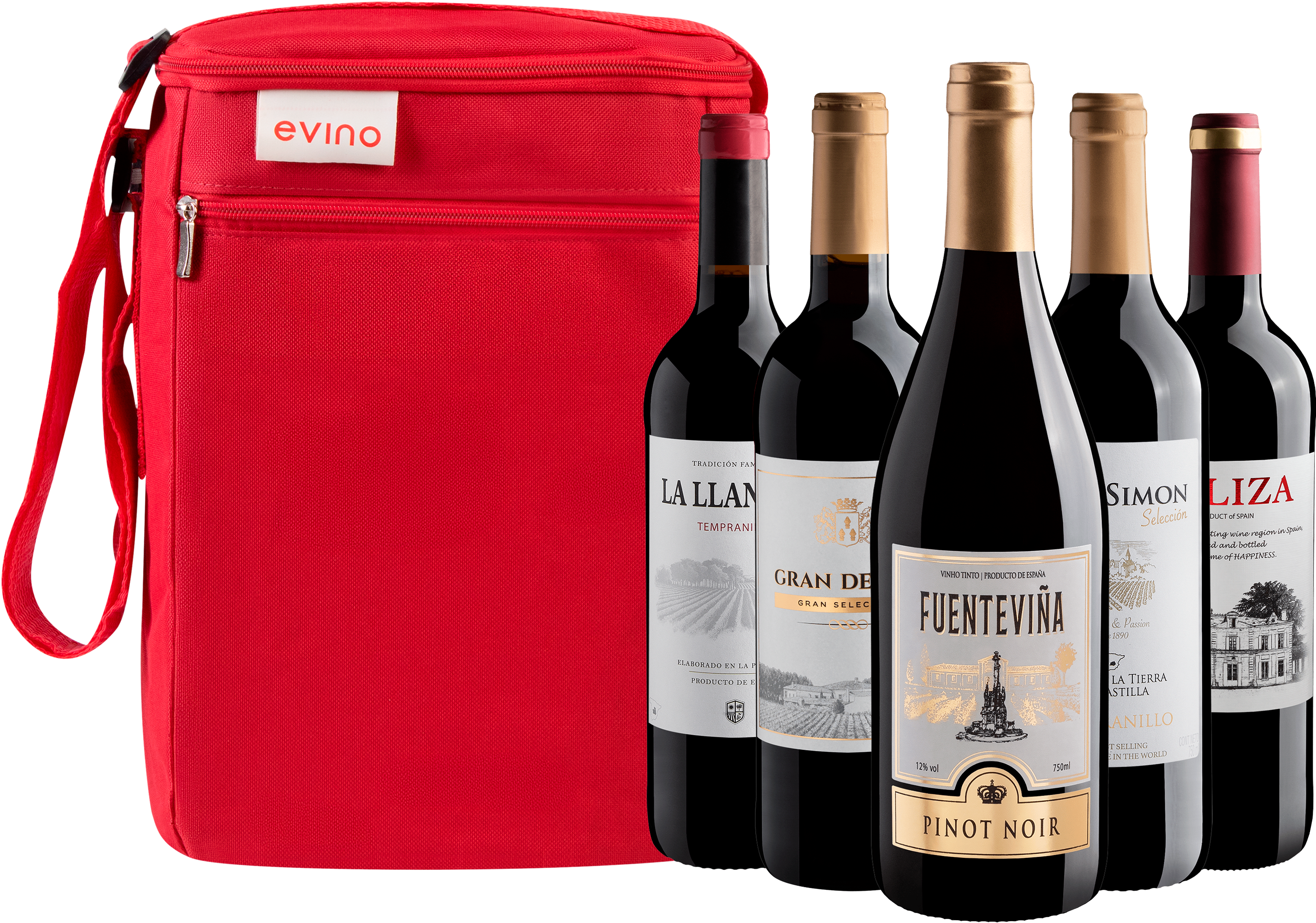 Kit 5 Tintos Espanhóis + Bolsa Exclusiva