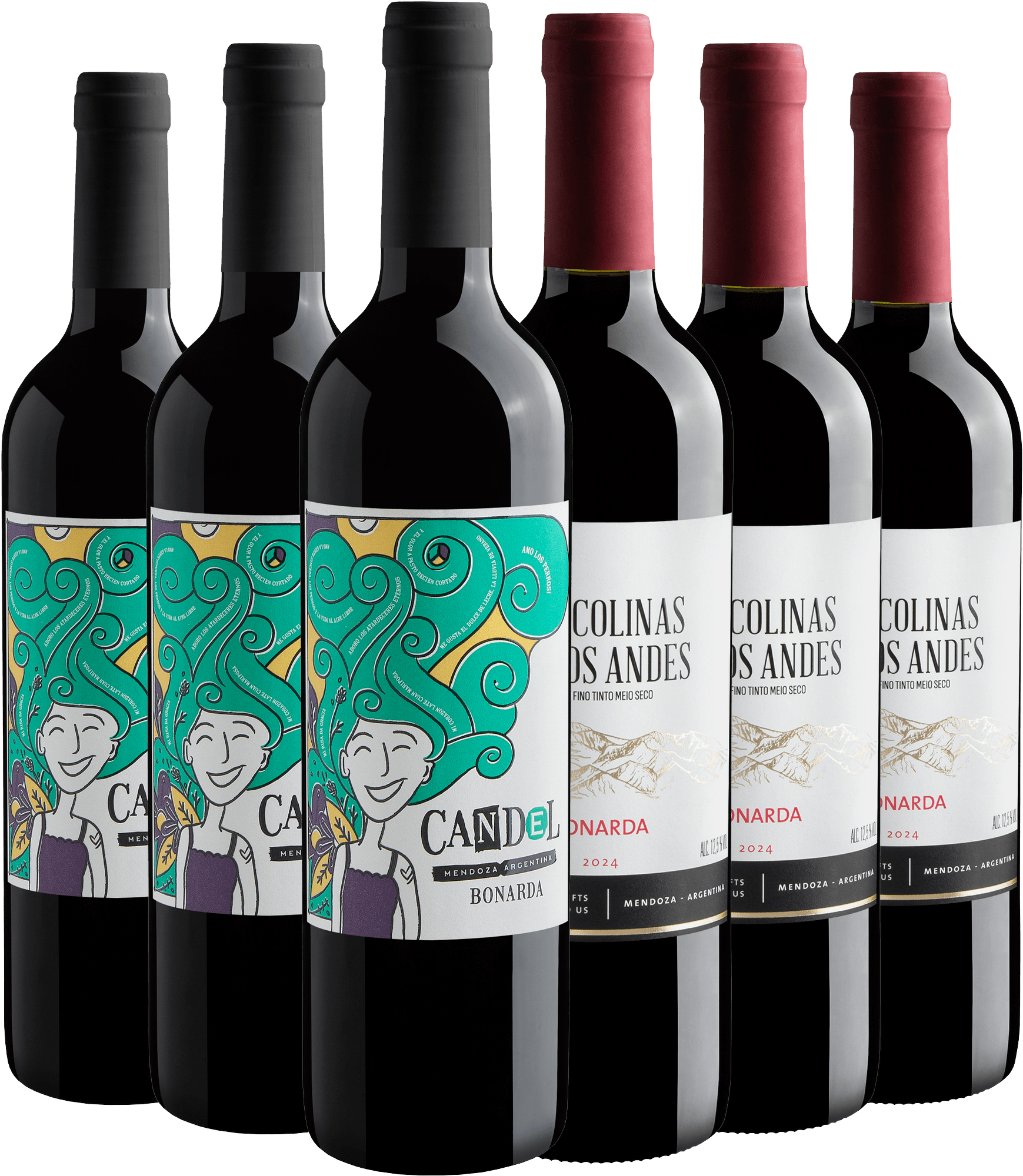 Kit Bonarda | 3 Candel + 3 Las Colinas de Los Andes