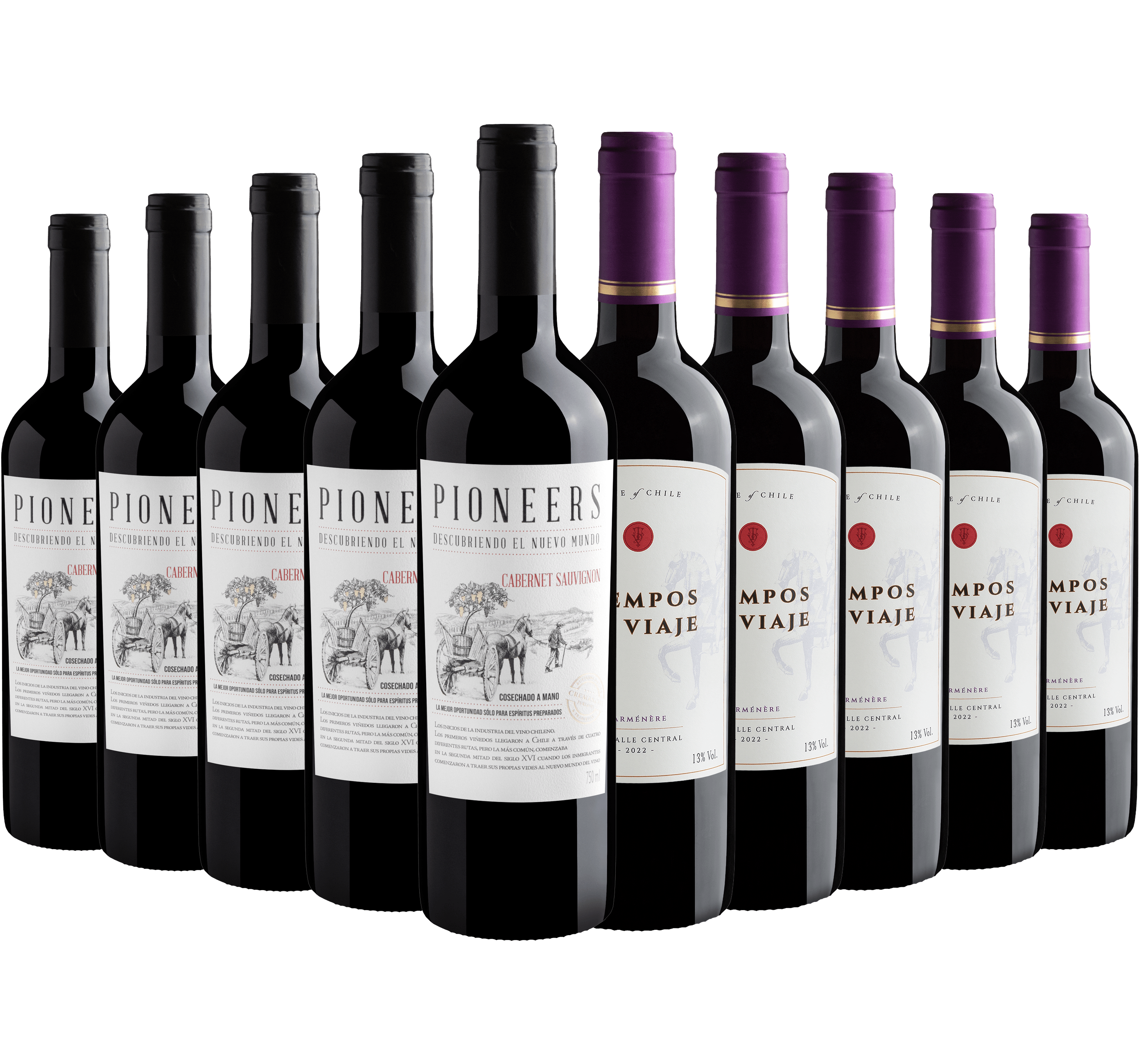 Kit Vinhos Chilenos | 5 Cabernet Sauvignon + 5 Carménère