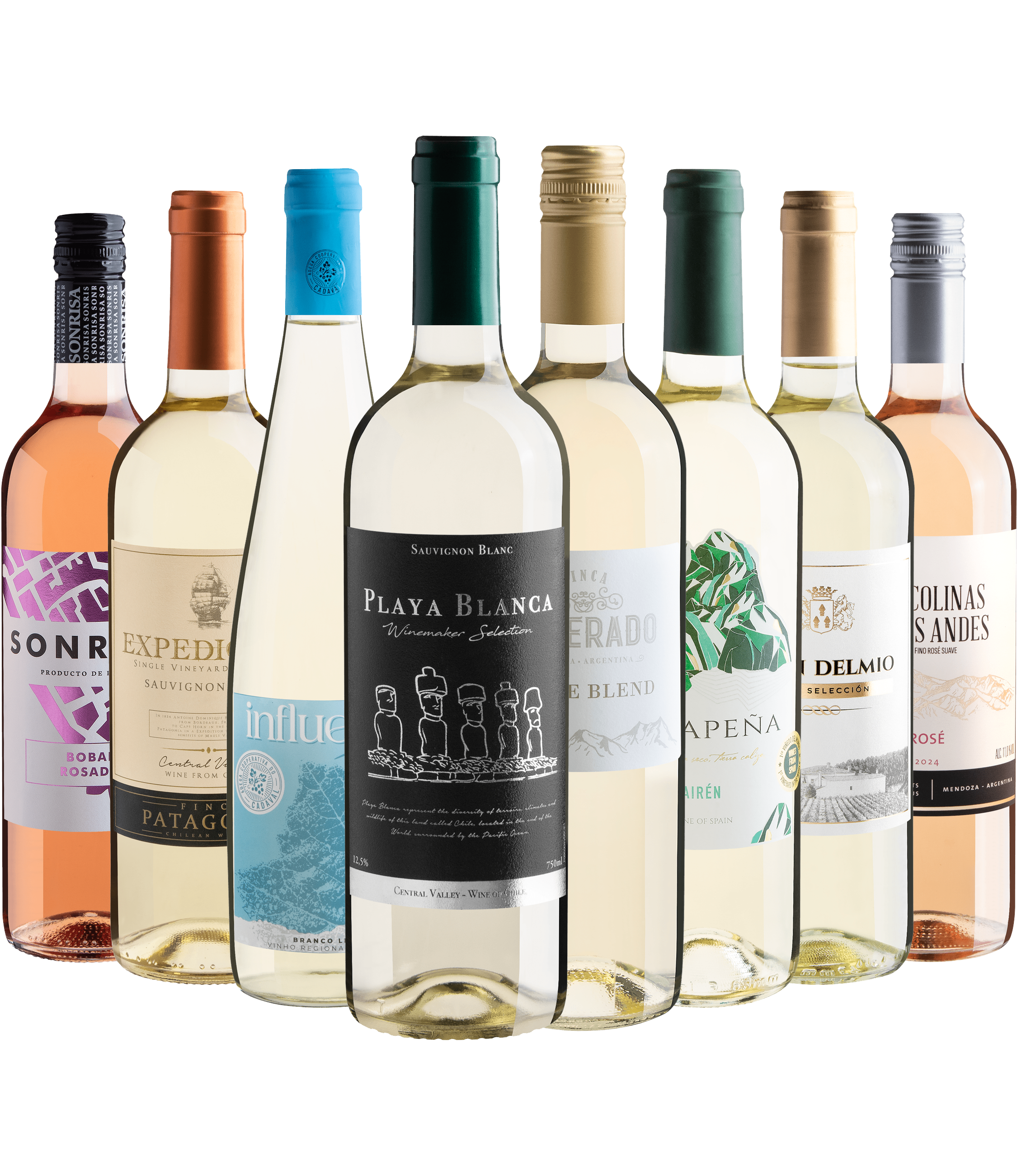 Kit 8 Vinhos Leves
