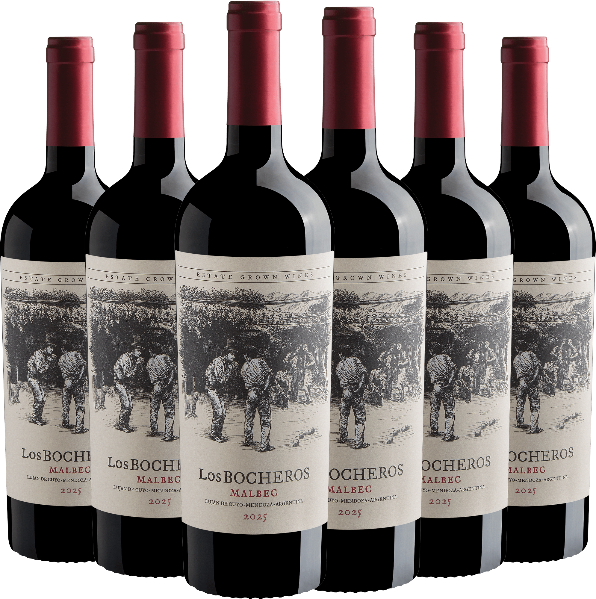Kit 6 Los Bocheros Malbec*