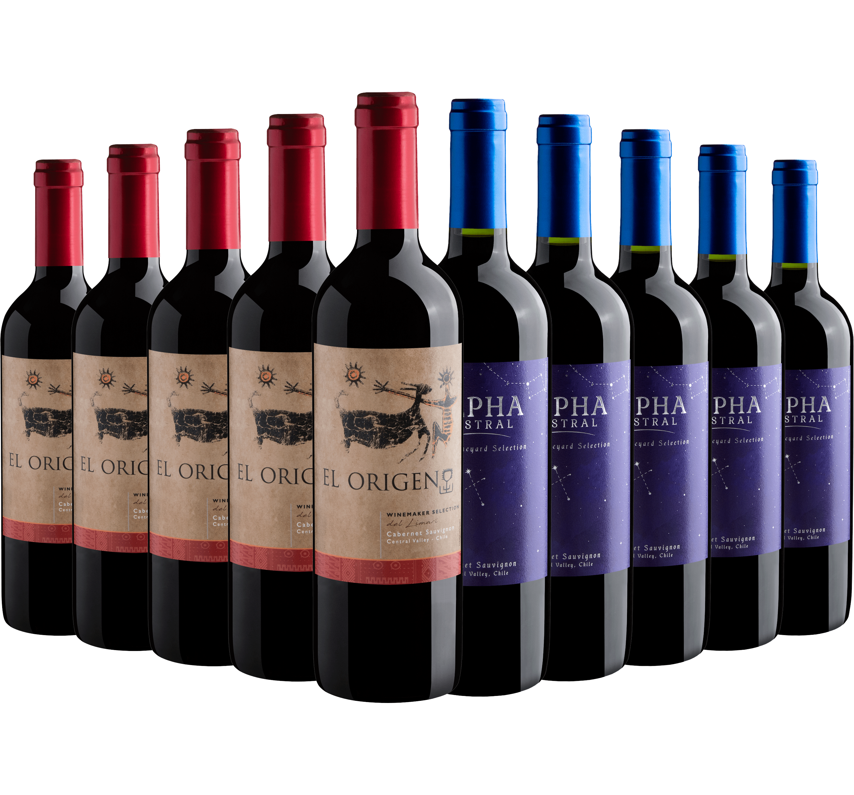 Kit Cabernets Sauvignons | 5 El Origen + 5 Pioneers