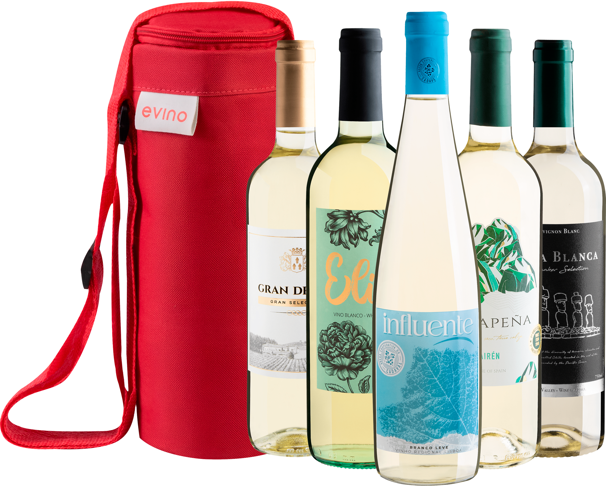 Kit 5 Vinhos Brancos + Bolsa Exclusiva