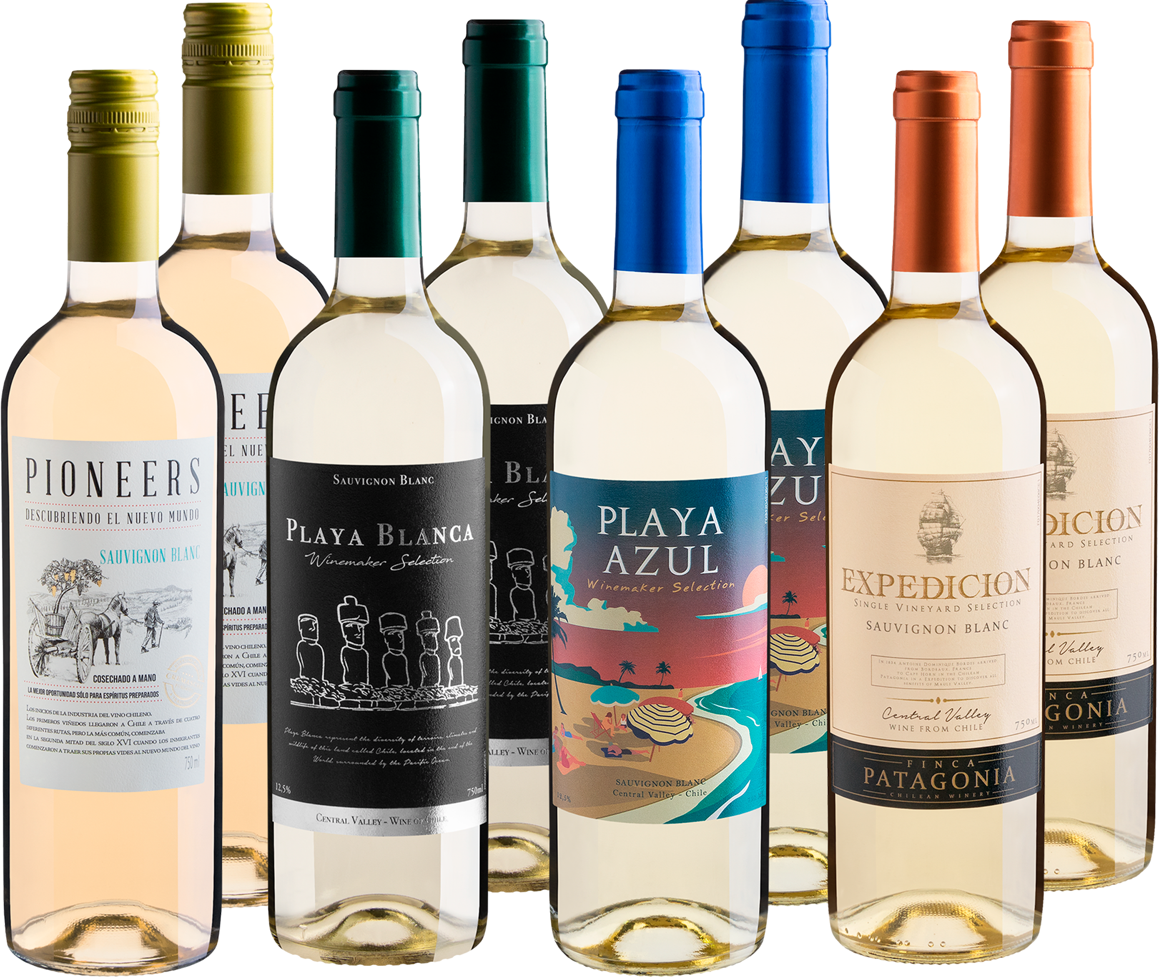 Kit Sauvignons Blancs em Dobro | 8 garrafas