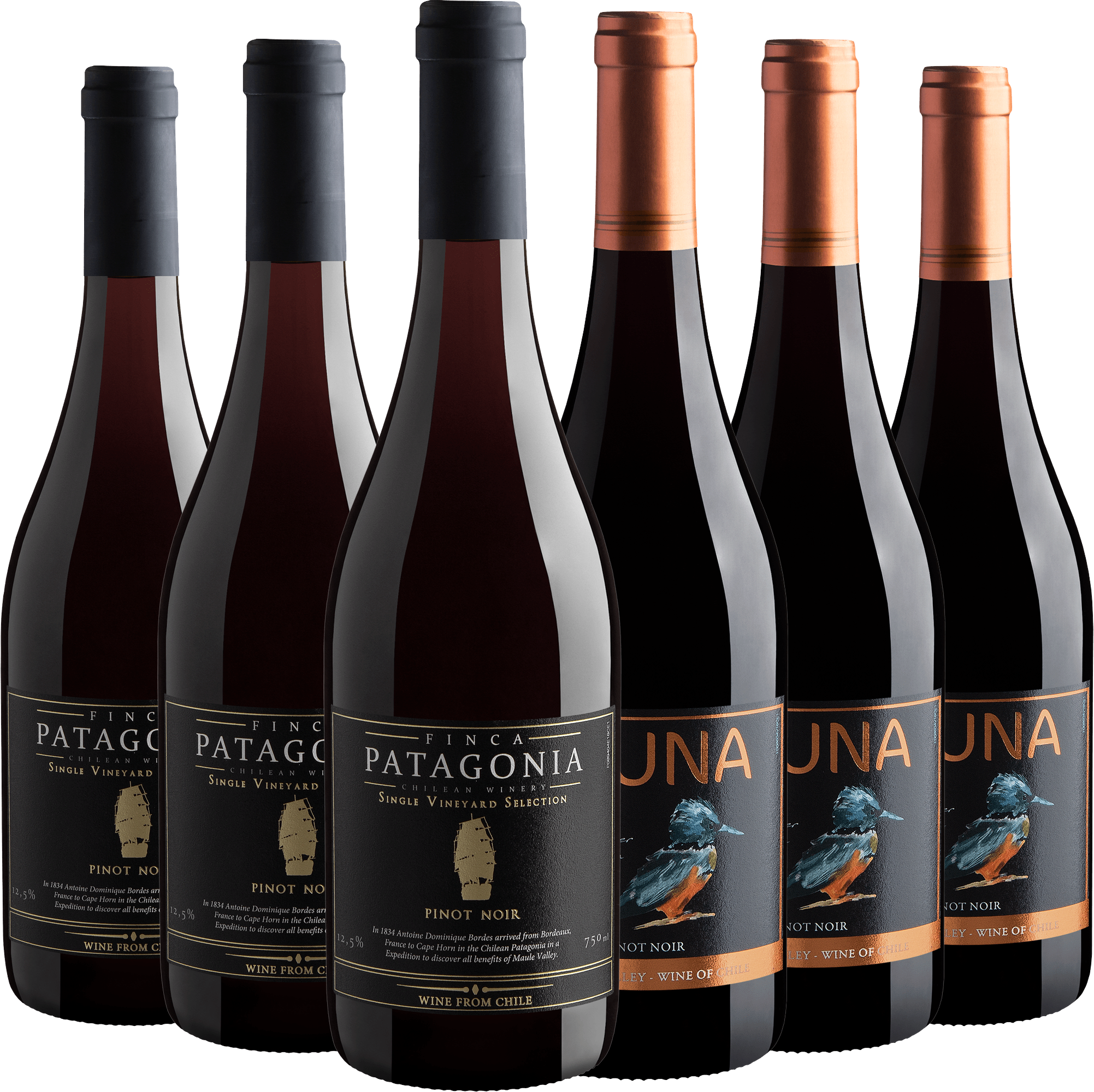 Kit Pinots Noirs | 3 Finca Patagonia Single Vineyard + 3 Fauna Winemaker Selection