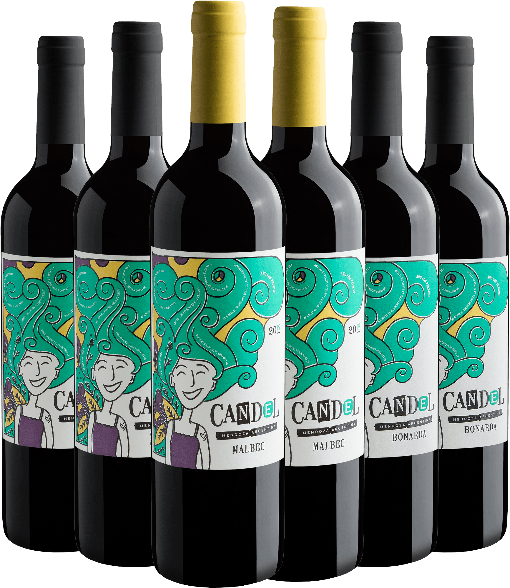 Kit Família Candel em Dobro | 6 garrafas