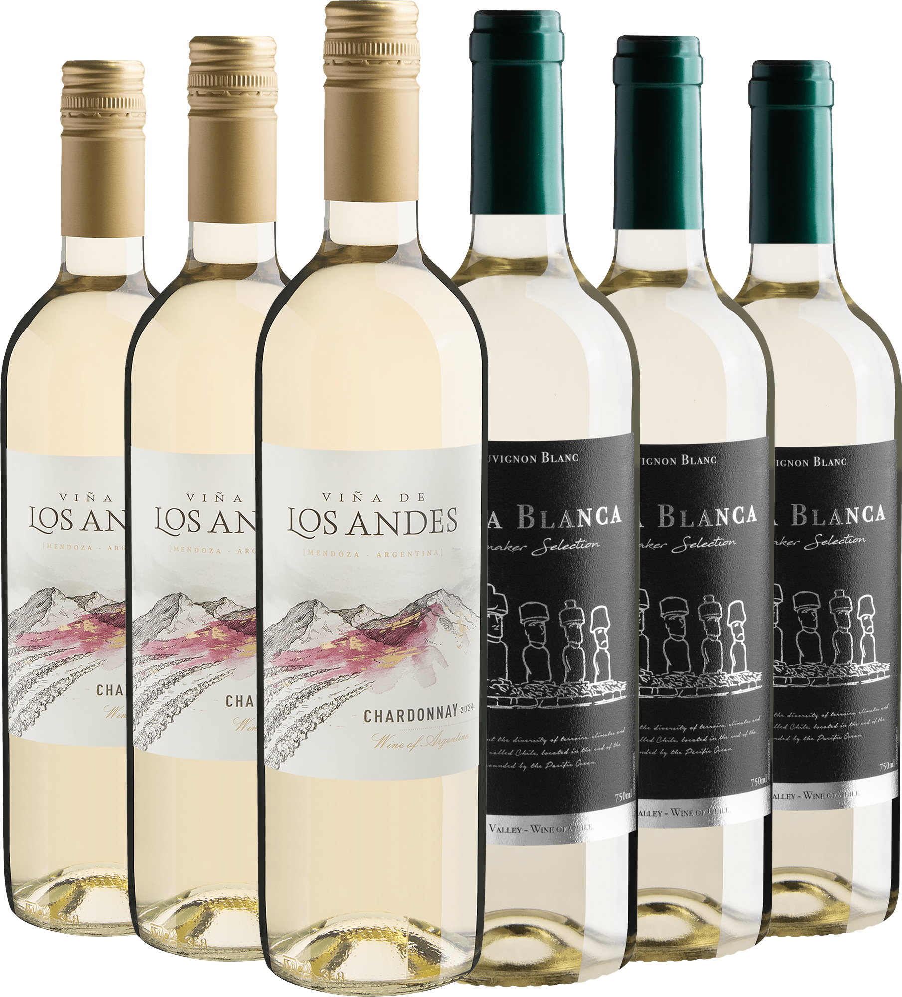 Kit 3 Viña de Los Andes Chardonnay + 3 Playa Blanca Sauvignon Blanc