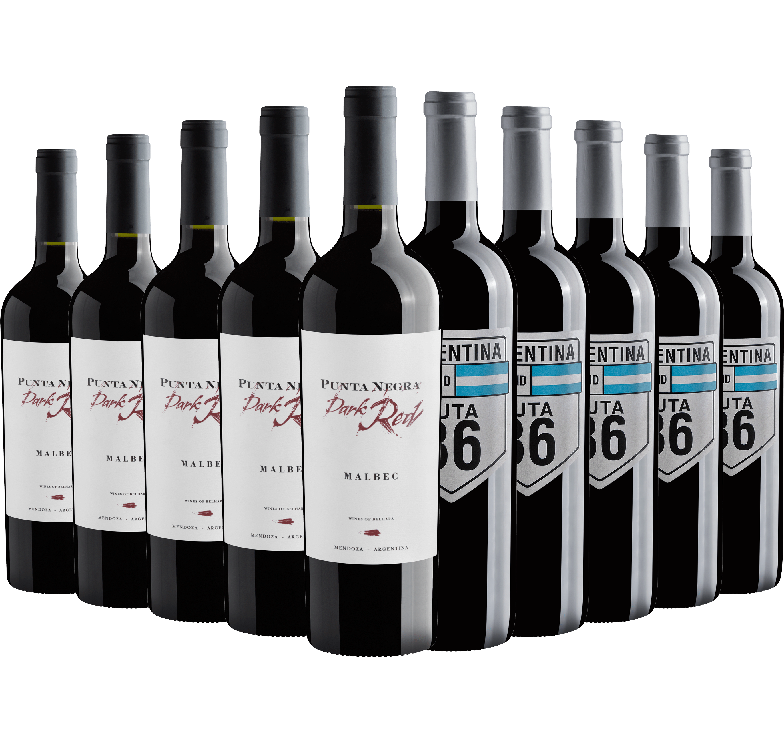 Kit 5 Punta Negra Dark Red Malbec + 5 Ruta 36 Red Blend
