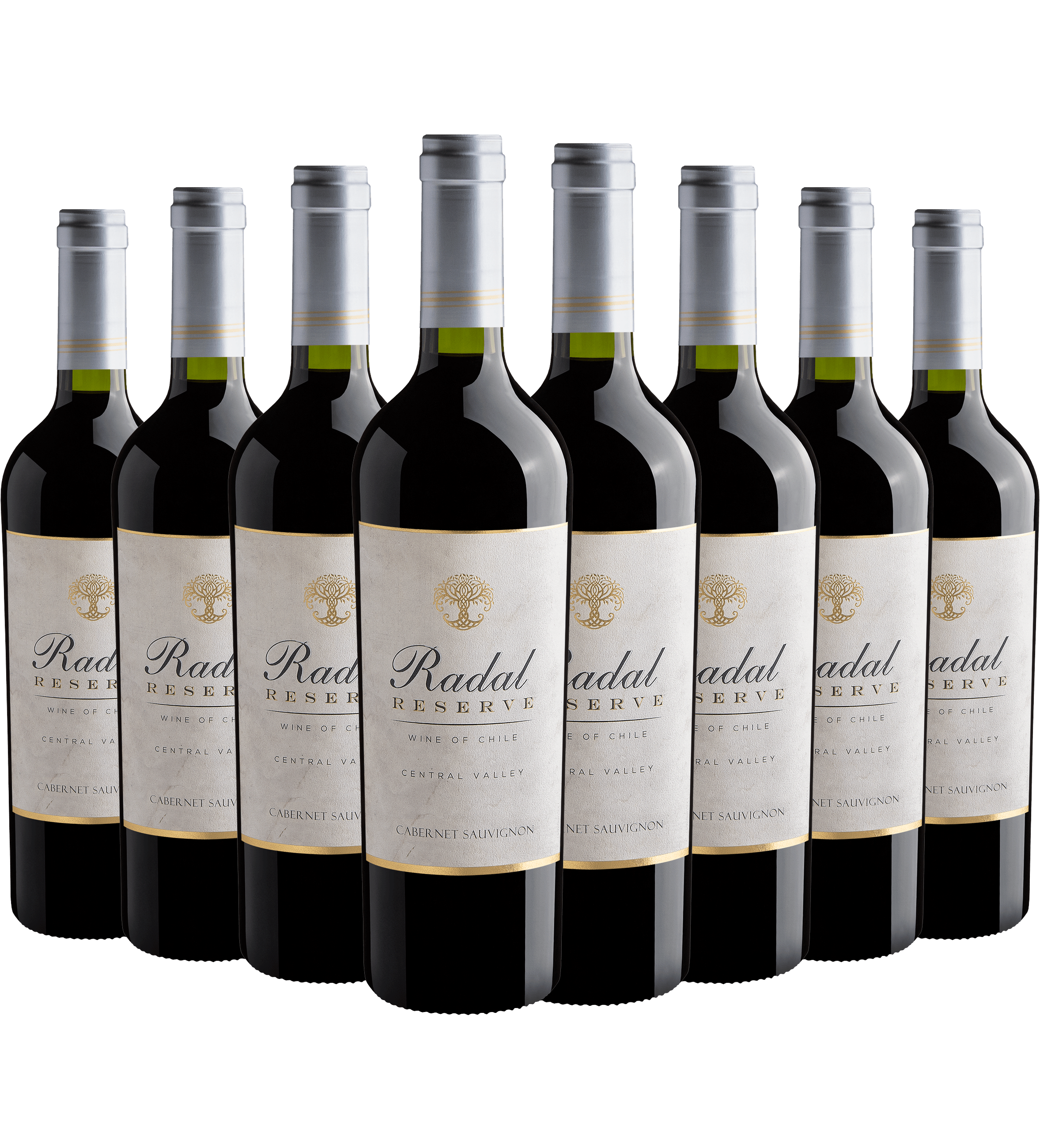 Kit 8 Radal Reserva Cabernet Sauvignon