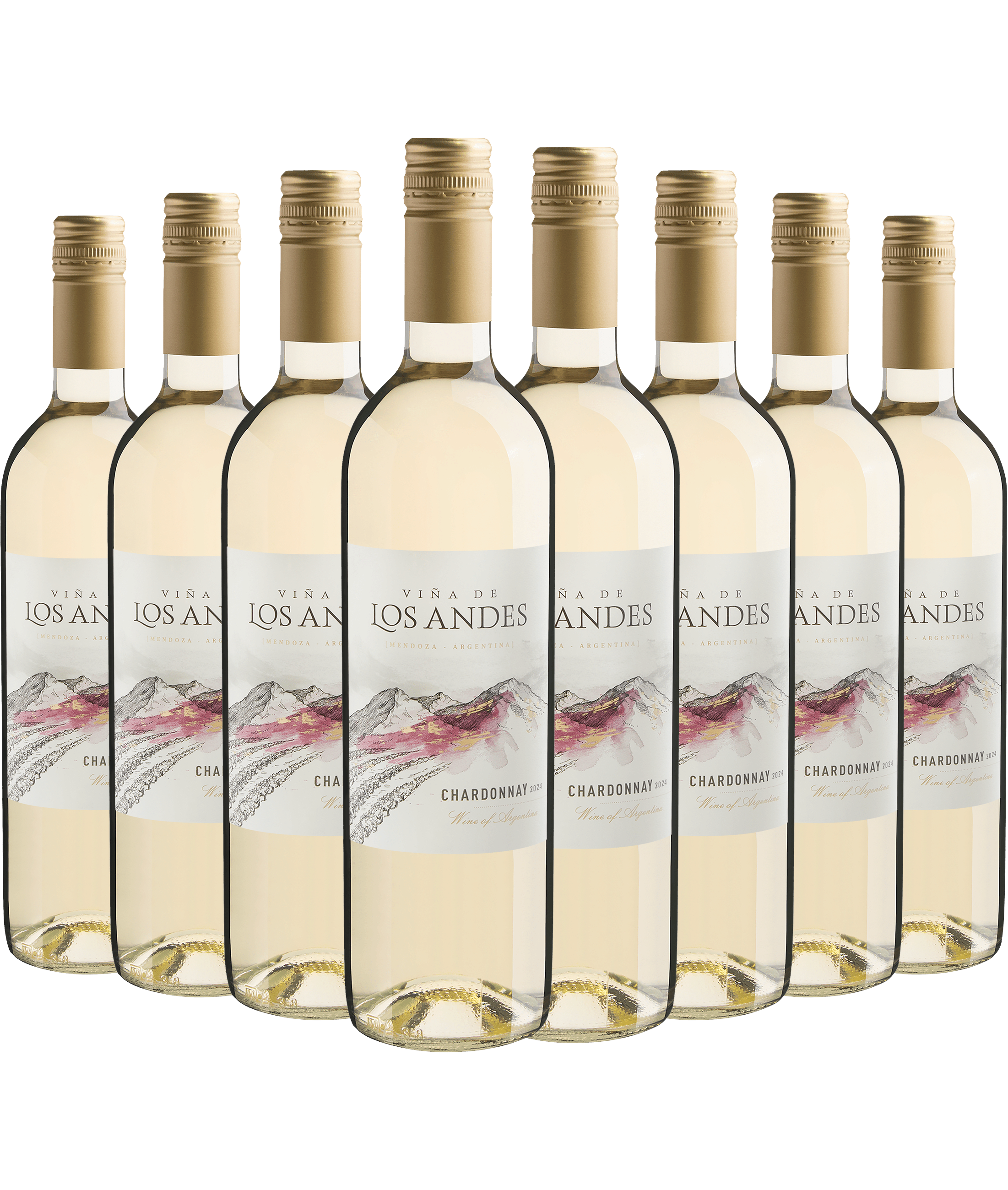 Kit 8 Viña de Los Andes Chardonnay
