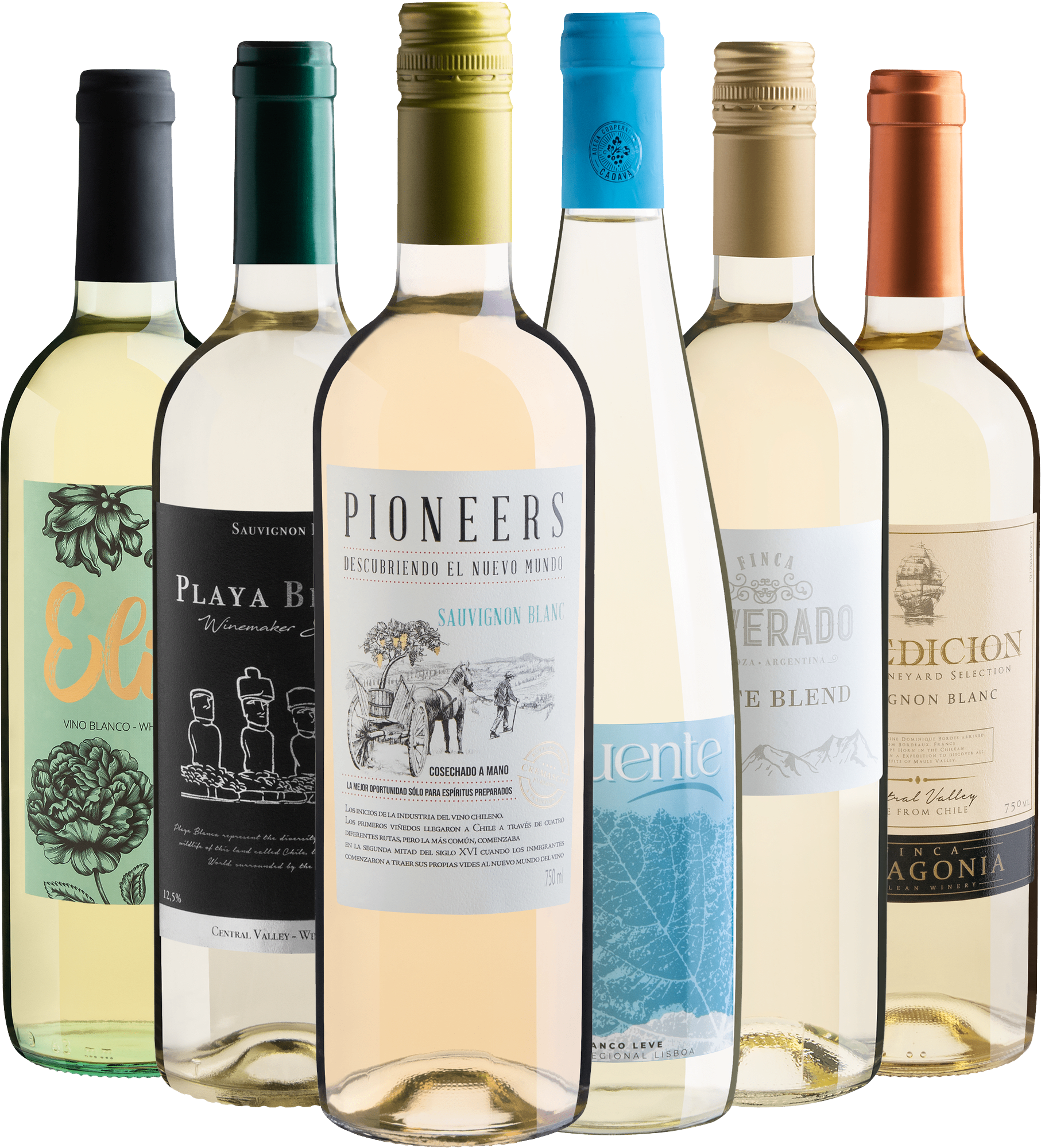 Kit 6 Vinhos Brancos