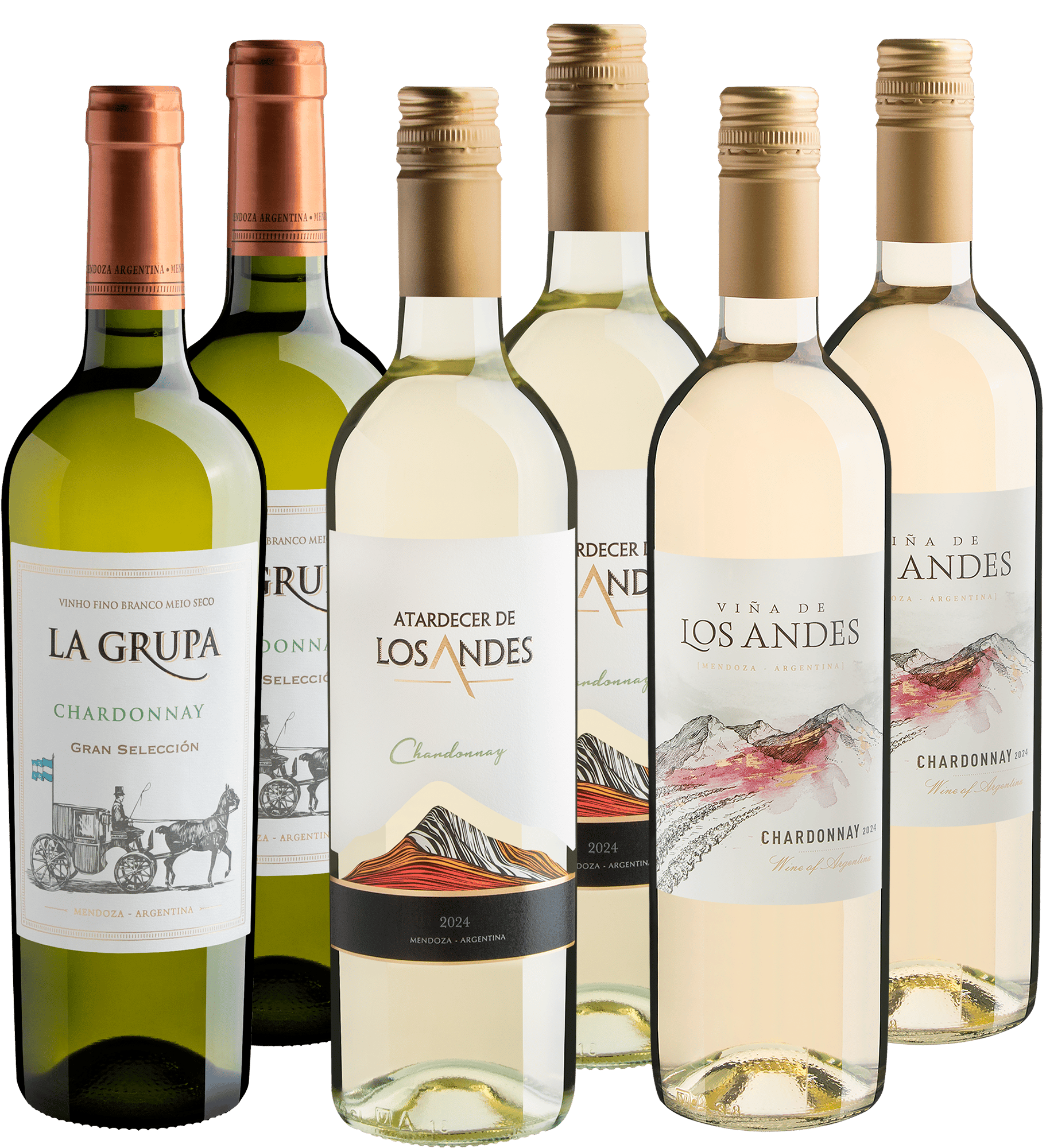 Kit Chardonnays em Dobro | 6 garrafas