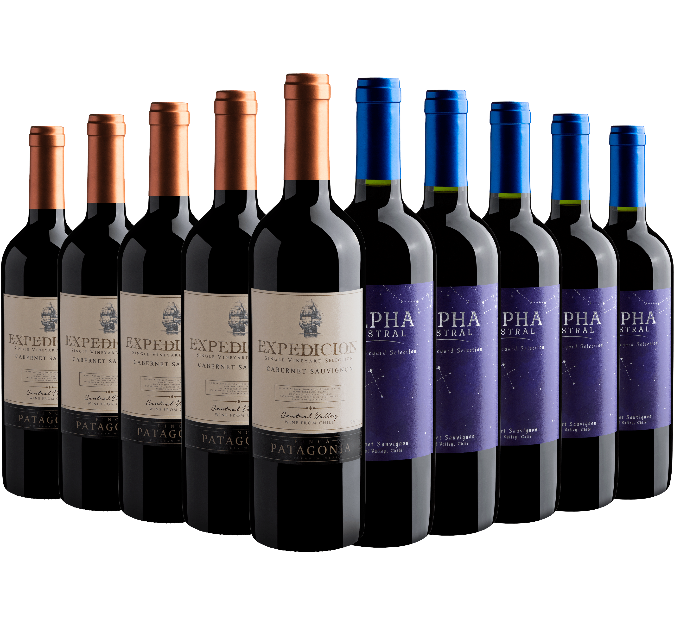 Kit Cabernet Sauvignon | 5 Expedicion + 5 Alpha Austral