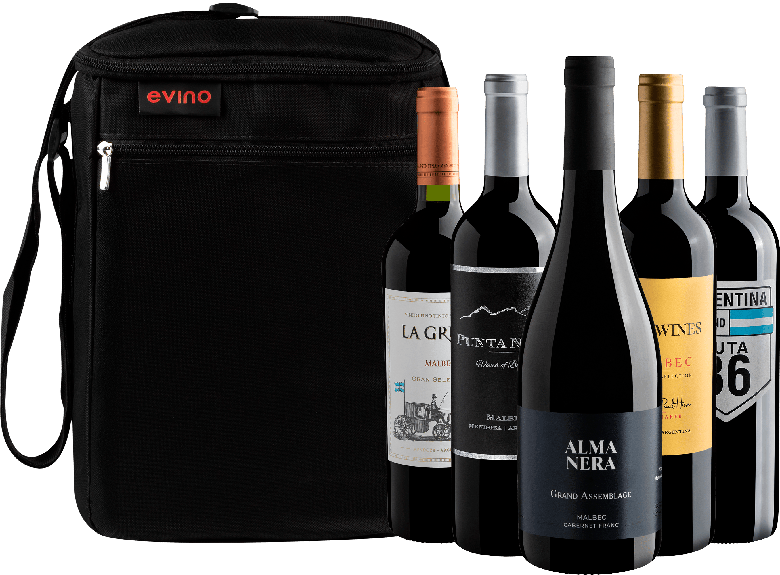 Kit 5 Tintos Argentinos + Bolsa Exclusiva