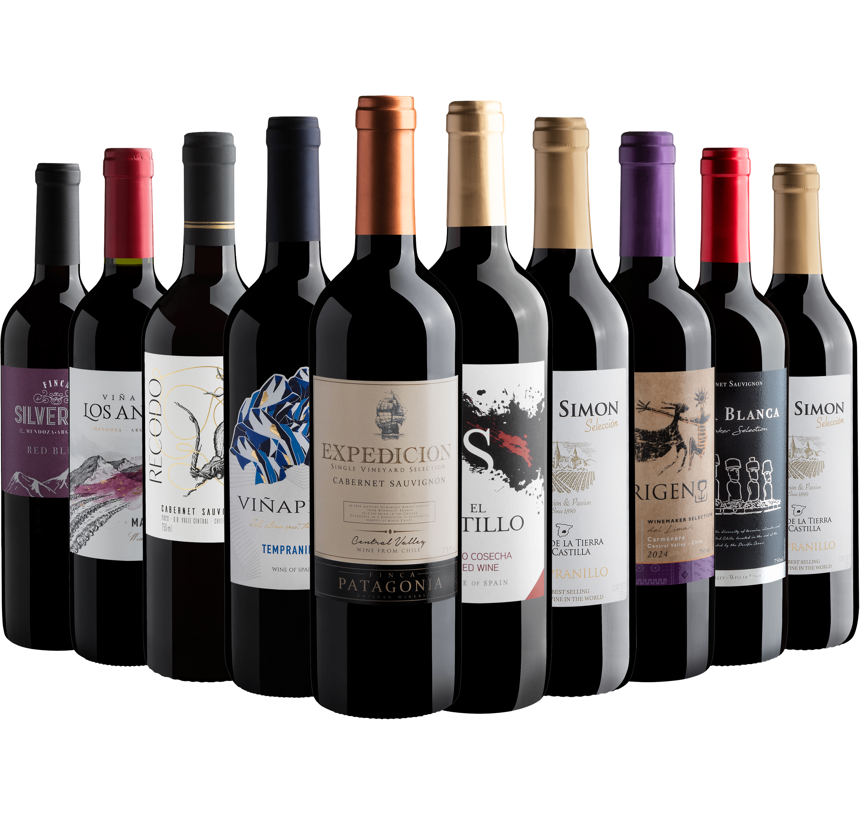 Kit 10 Vinhos Tintos