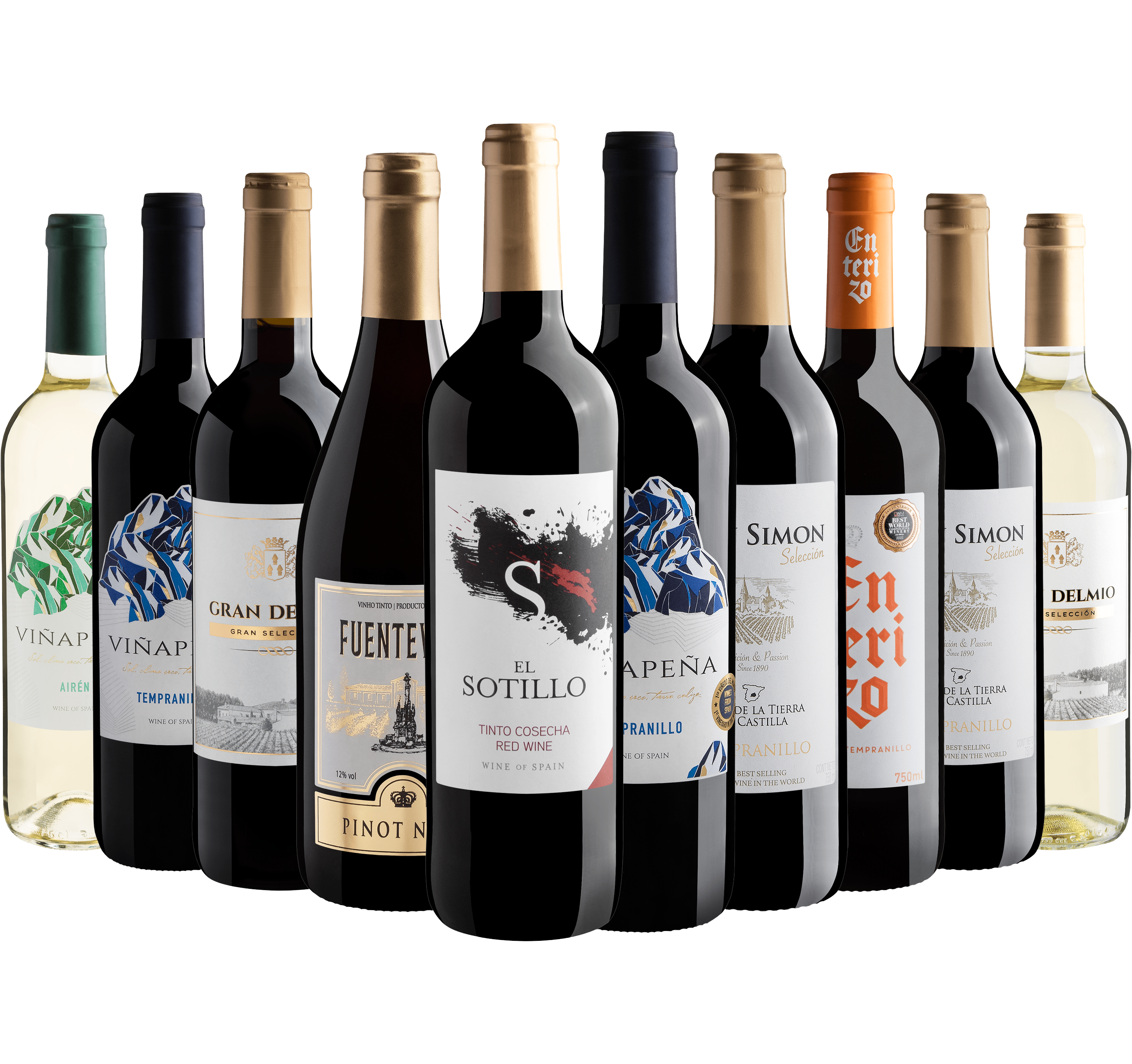 Kit 10 Vinhos Espanhóis