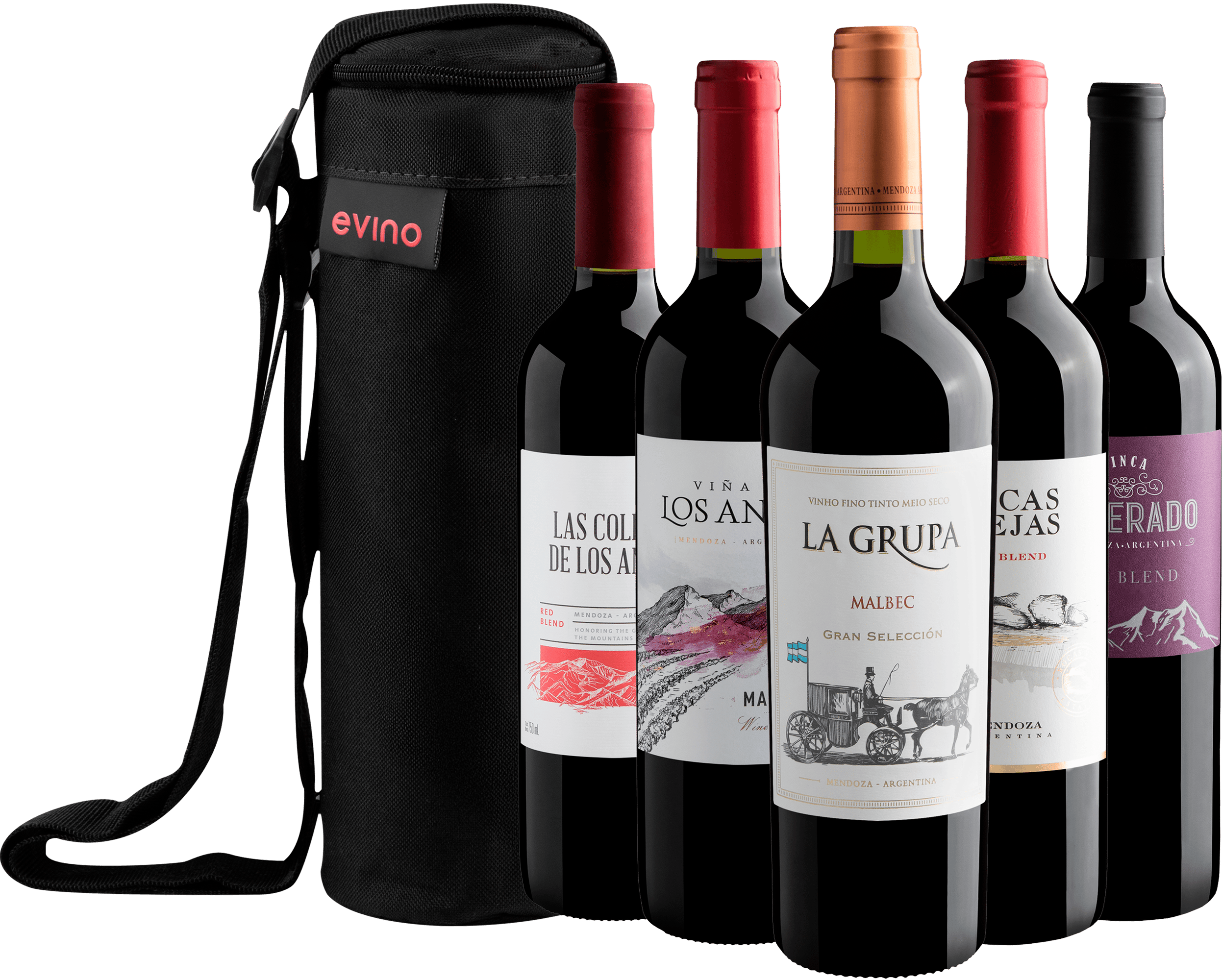 Kit 5 Vinhos Argentinos com Bolsa Exclusiva