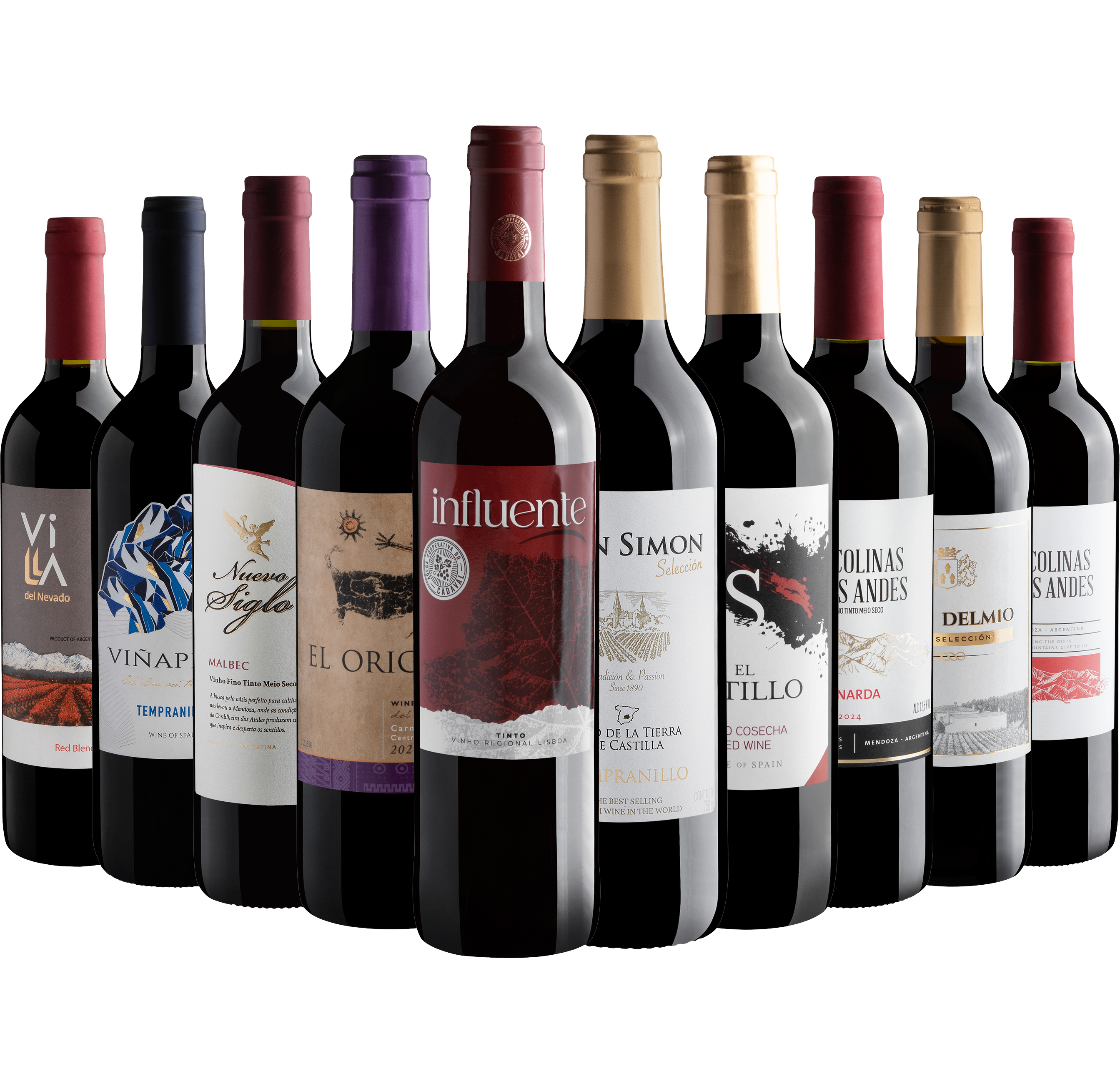 Kit 10 Vinhos Tintos