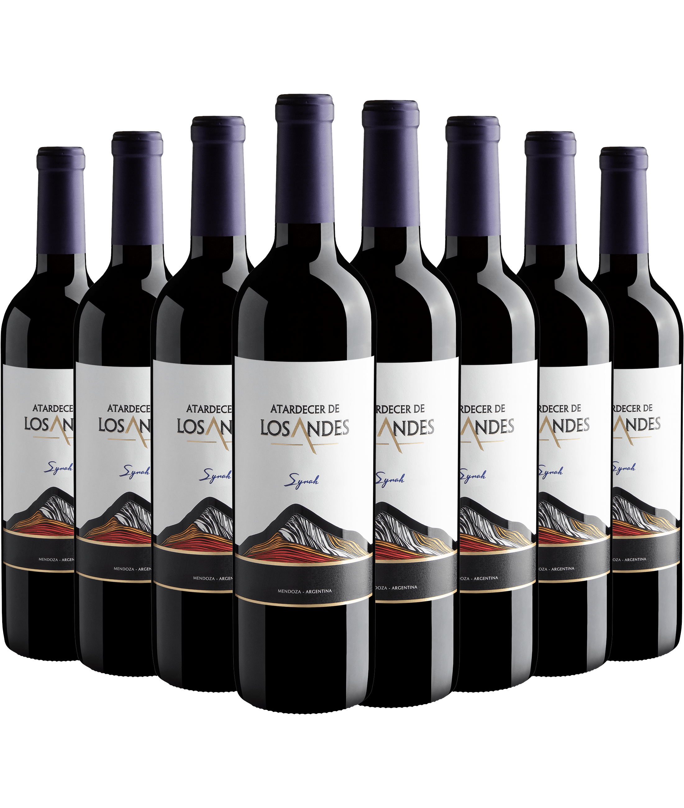 Kit 8 Atardecer de Los Andes Syrah