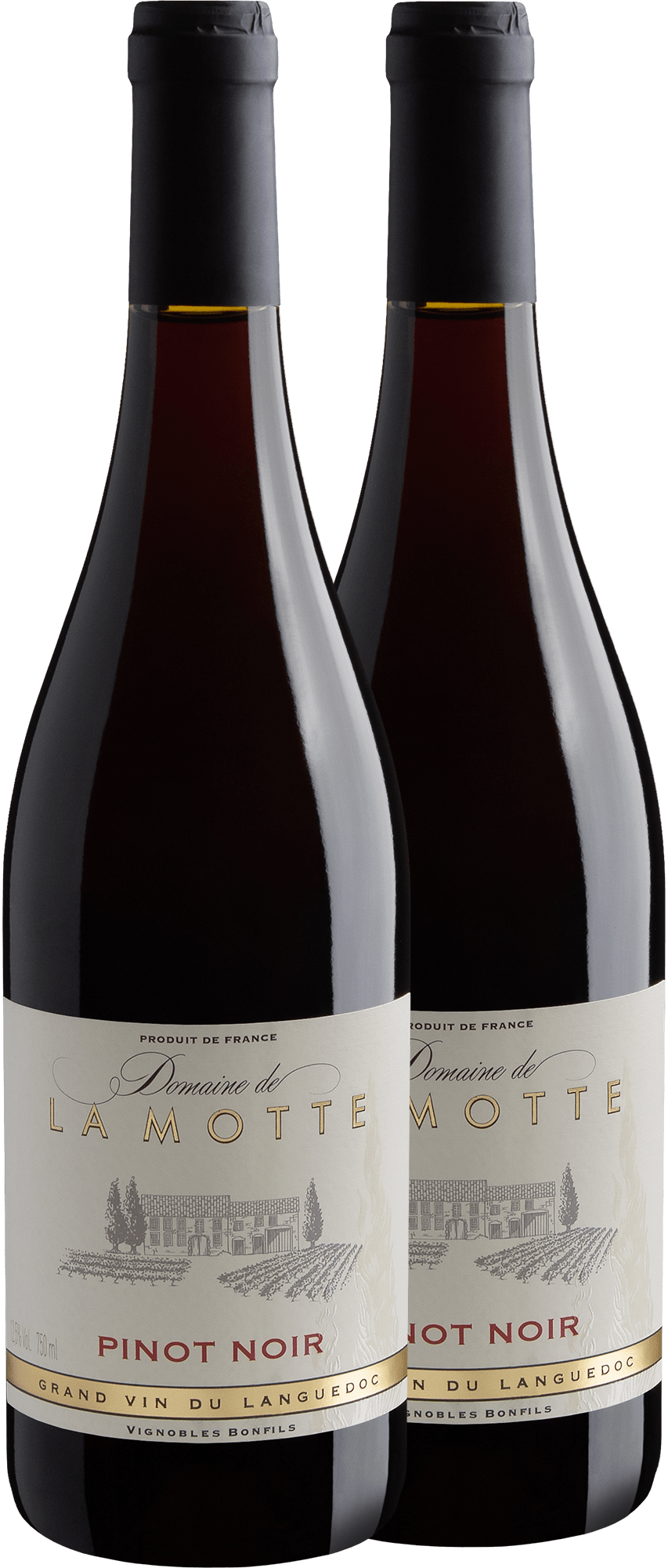 Duo Domaine de La Motte Pinot Noir 2018