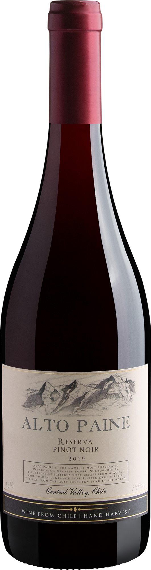 Alto Paine Reserva Pinot Noir 2019