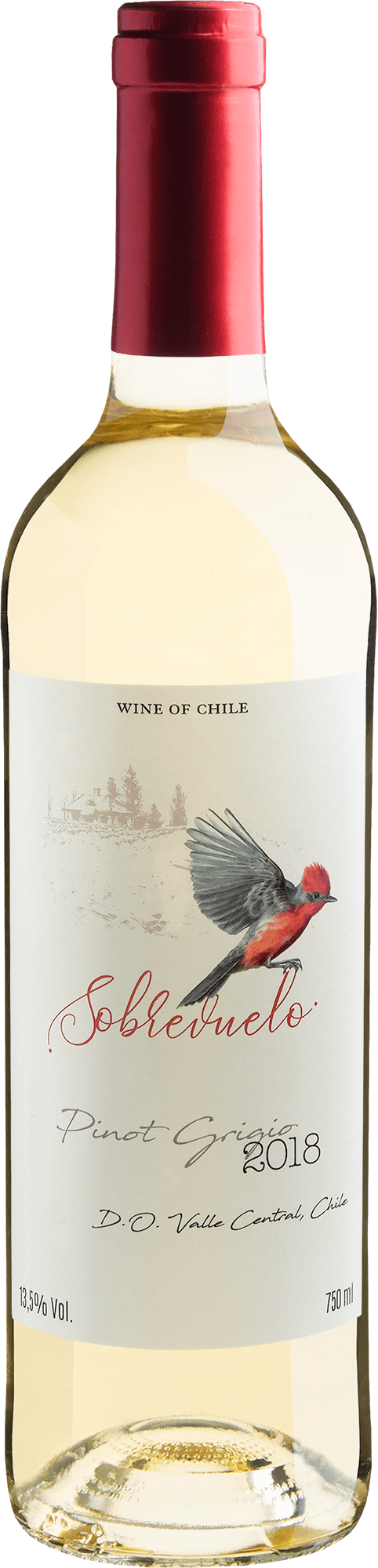 Sobrevuelo Pinot Grigio Valle Central D.O. 2018