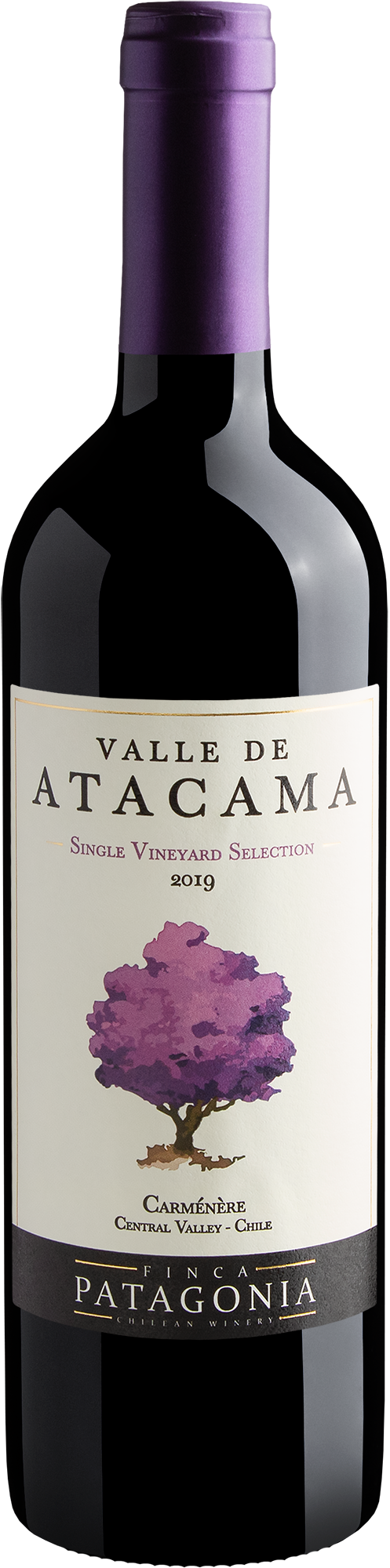 Valle de Atacama Single Vineyard Carménère 2019