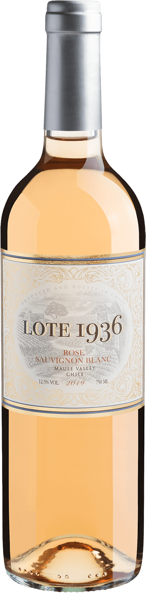 Lote 1936 Sauvignon Blanc Rosé 2019