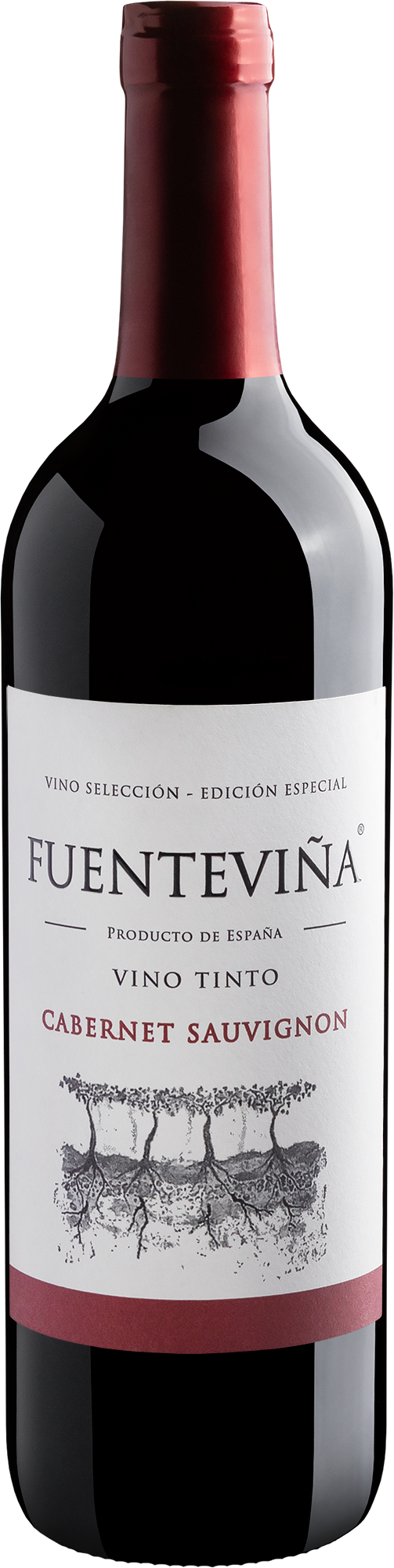 Fuentevina Cabernet Sauvignon