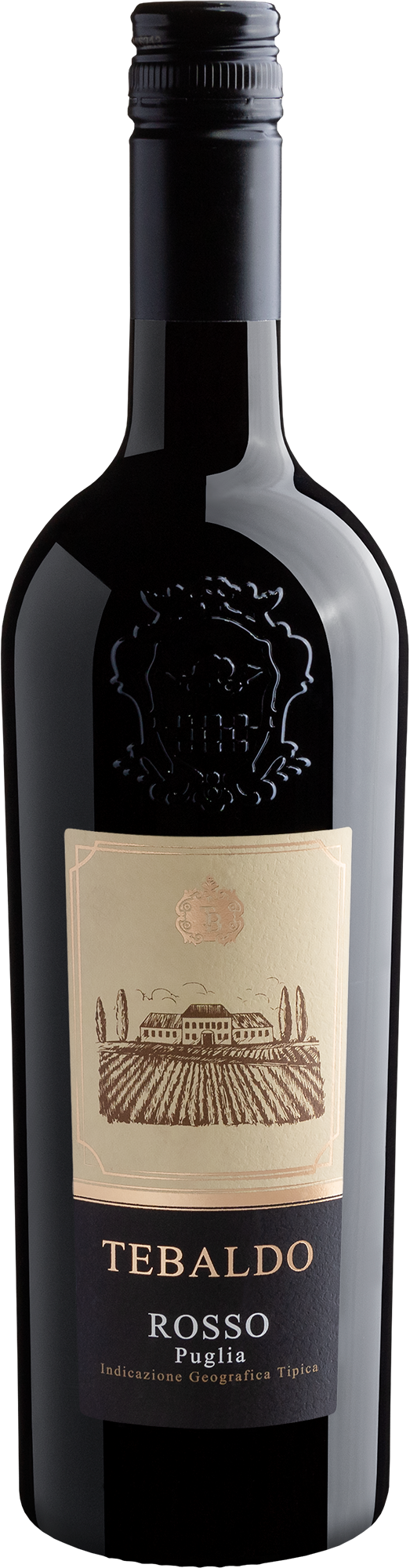 Tebaldo Rosso Puglia 2017