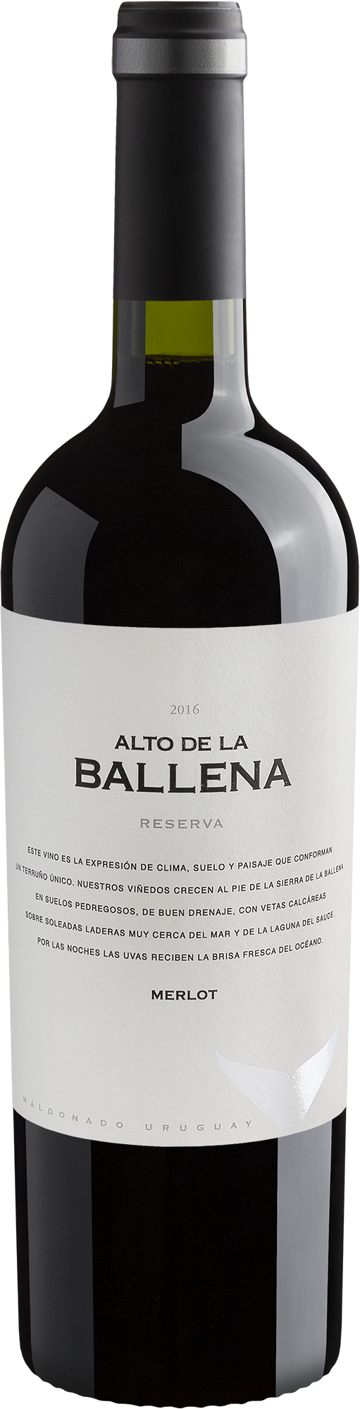 Alto De La Ballena Reserva Merlot 2016