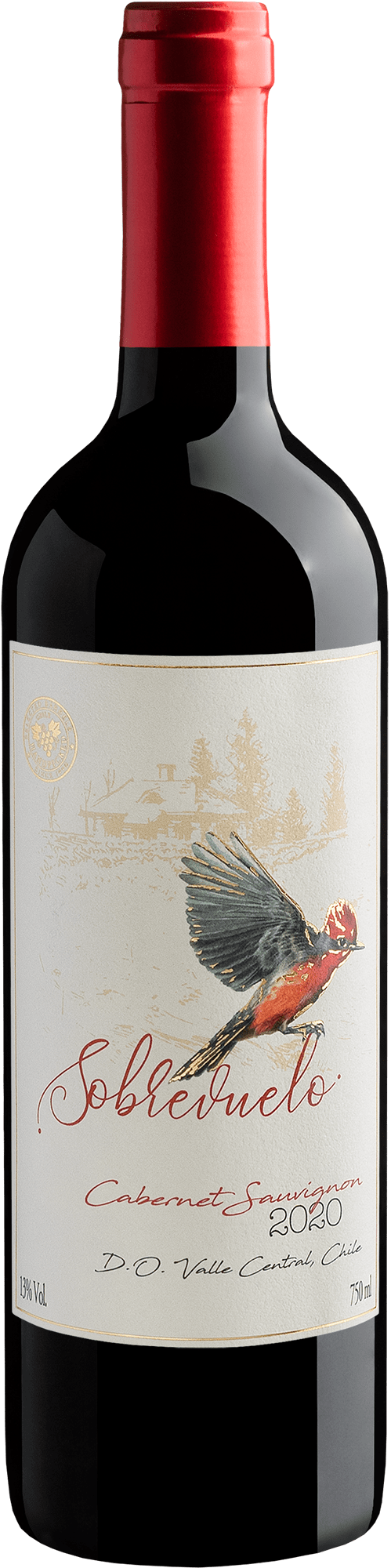 Sobrevuelo Cabernet Sauvignon Valle Central D.O. 2020