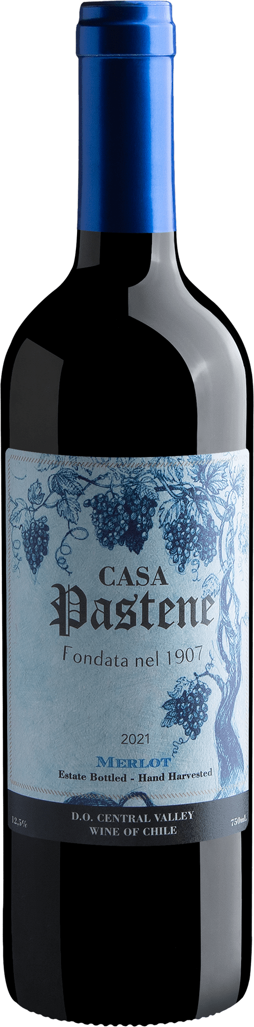 Casa Pastene Merlot Central Valley D.O. 2021