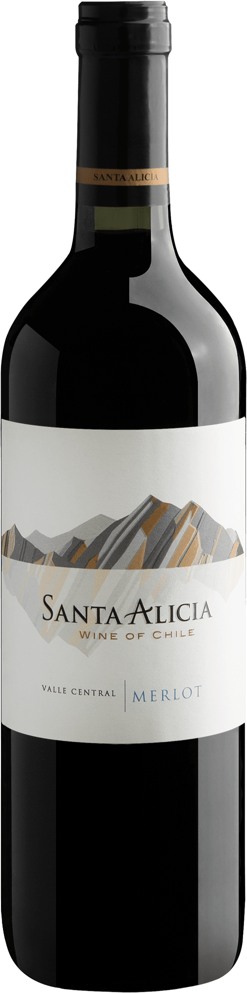 Santa Alicia Merlot Valle Central