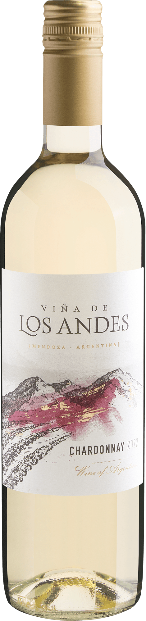Viña de Los Andes Chardonnay 2022