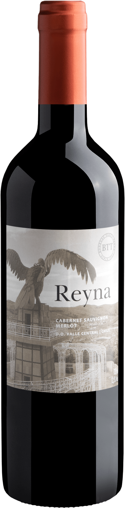 Reyna Cabernet Sauvignon-Merlot Central Valley D.O.