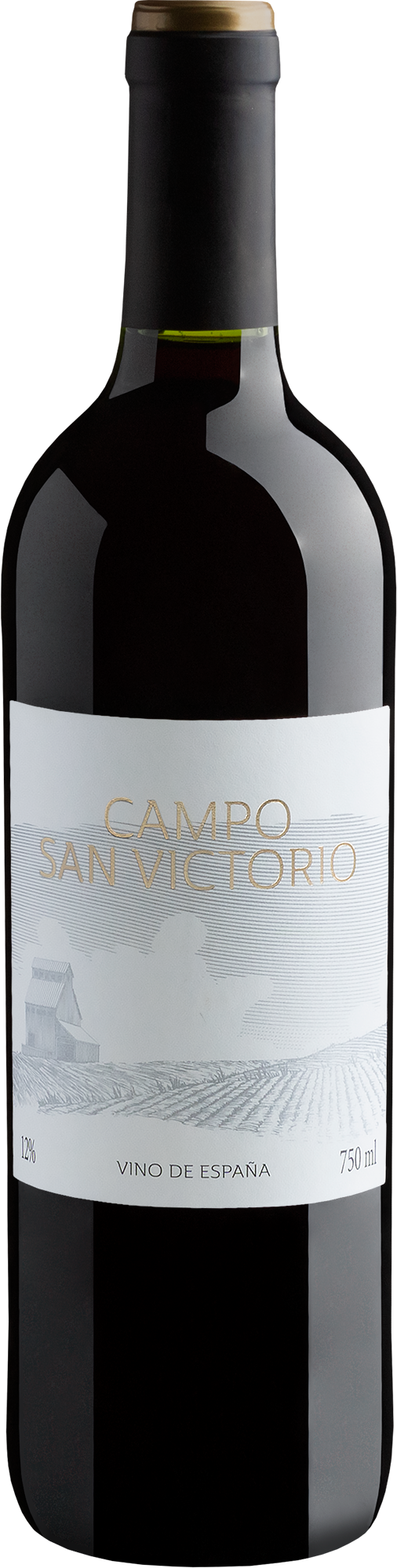 Campo San Victorio Tinto