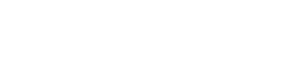 Bodega Norton