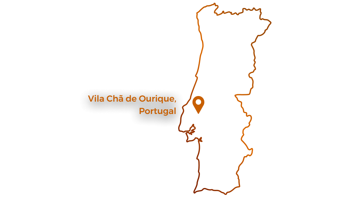 Mapa da região