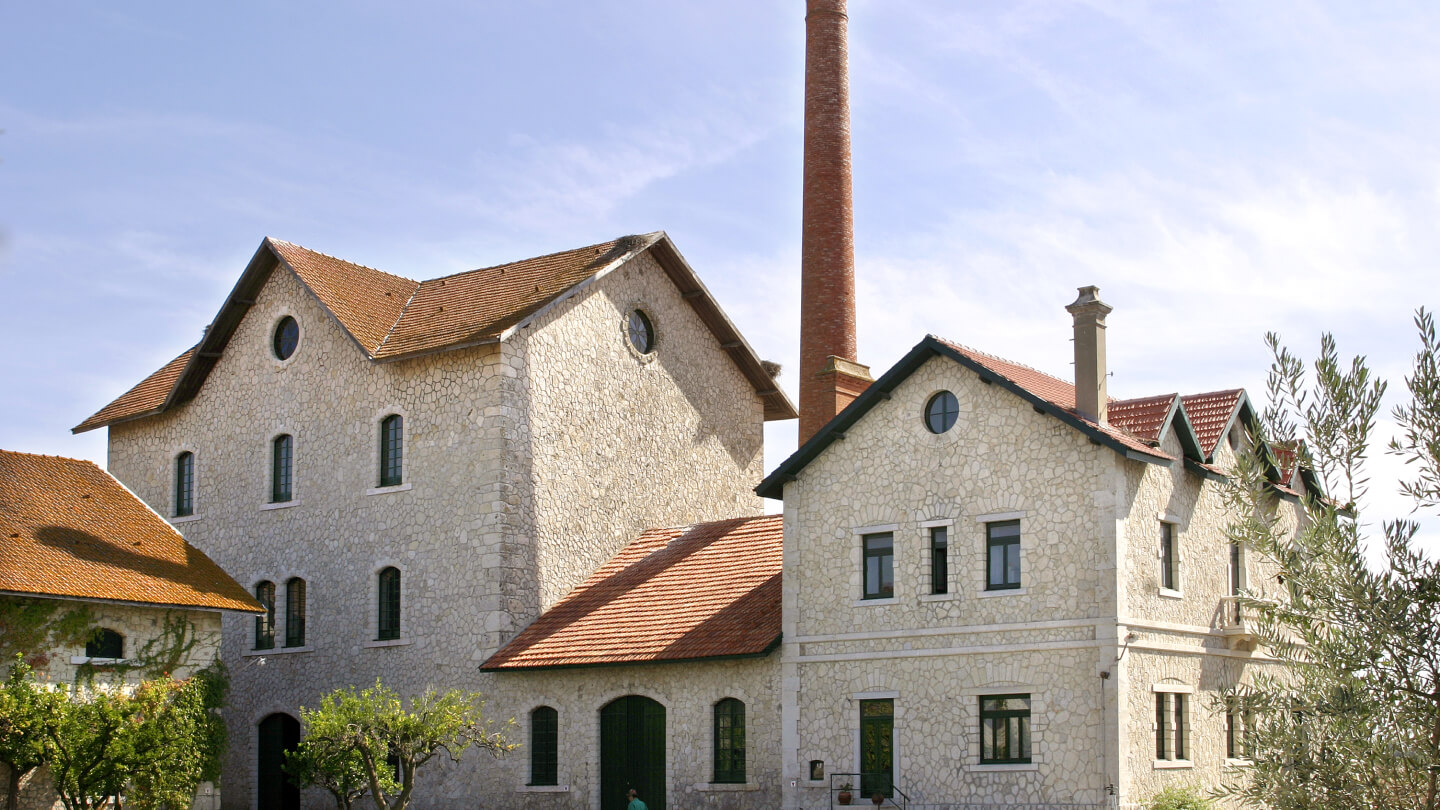 Vinícola DFJ Vinhos