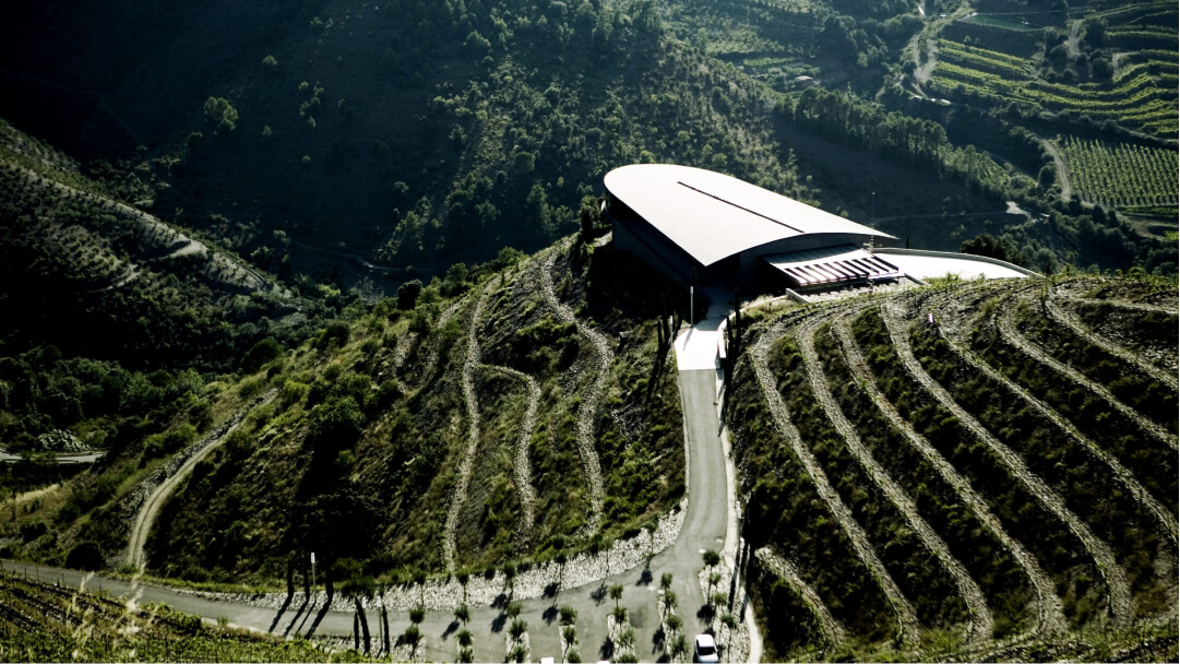 Vinícola Ferrer Bobet SL